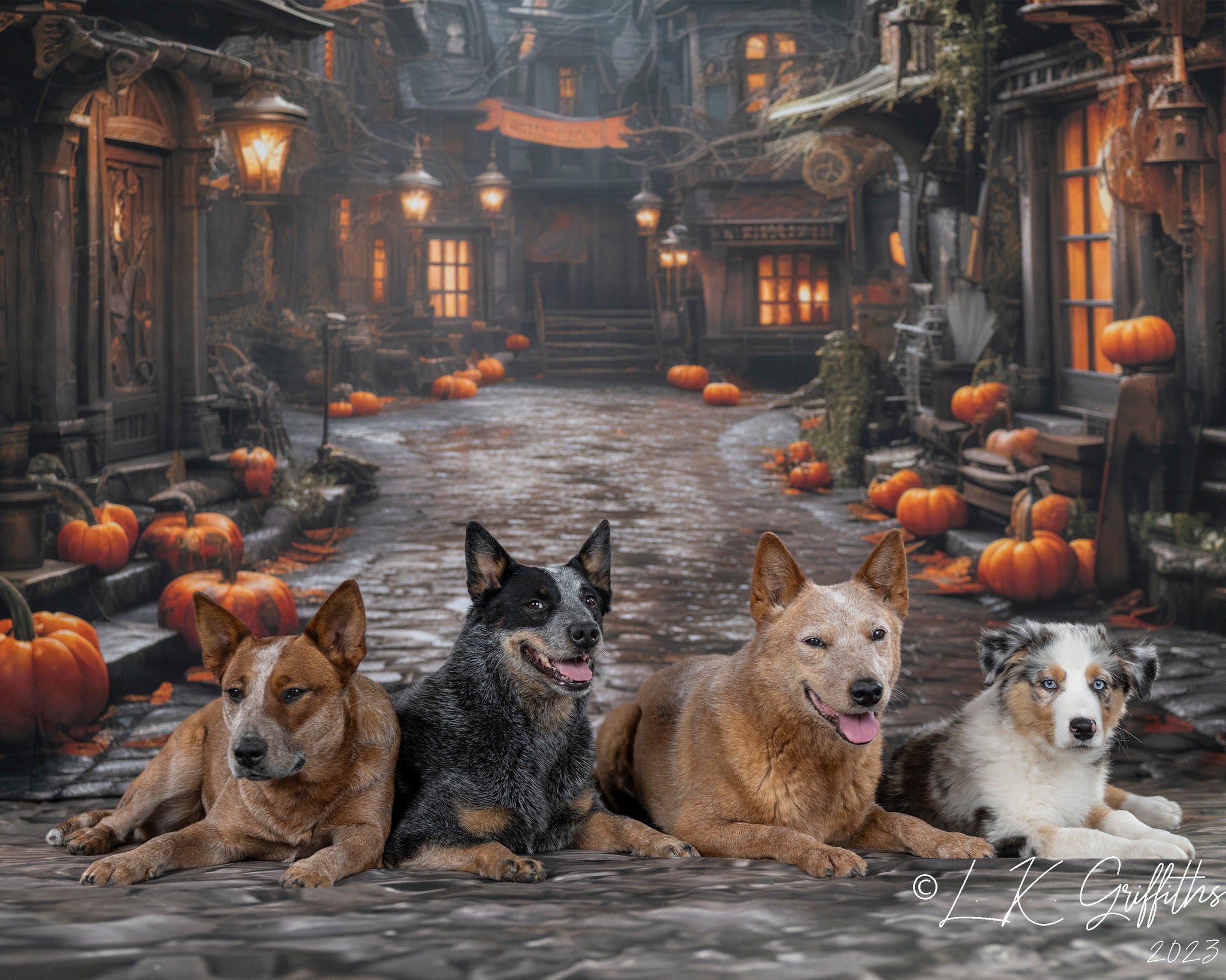 Kate Halloween Straße Kürbis Hintergrund von Emetselch - Kate Backdrop.de