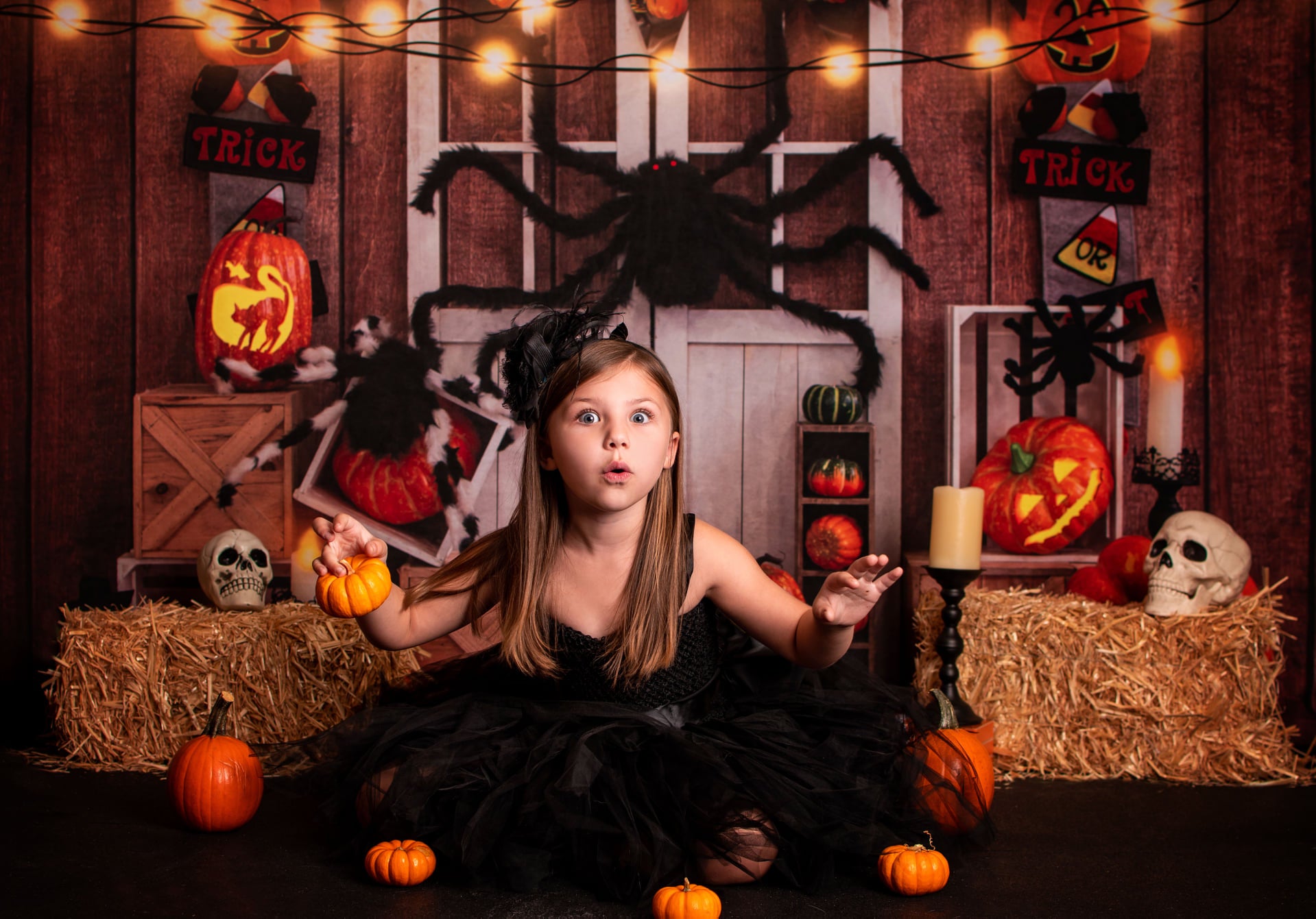 Kate Halloween Herbst Kürbis Spinne Thanksgiving Hintergrund von Emetselch