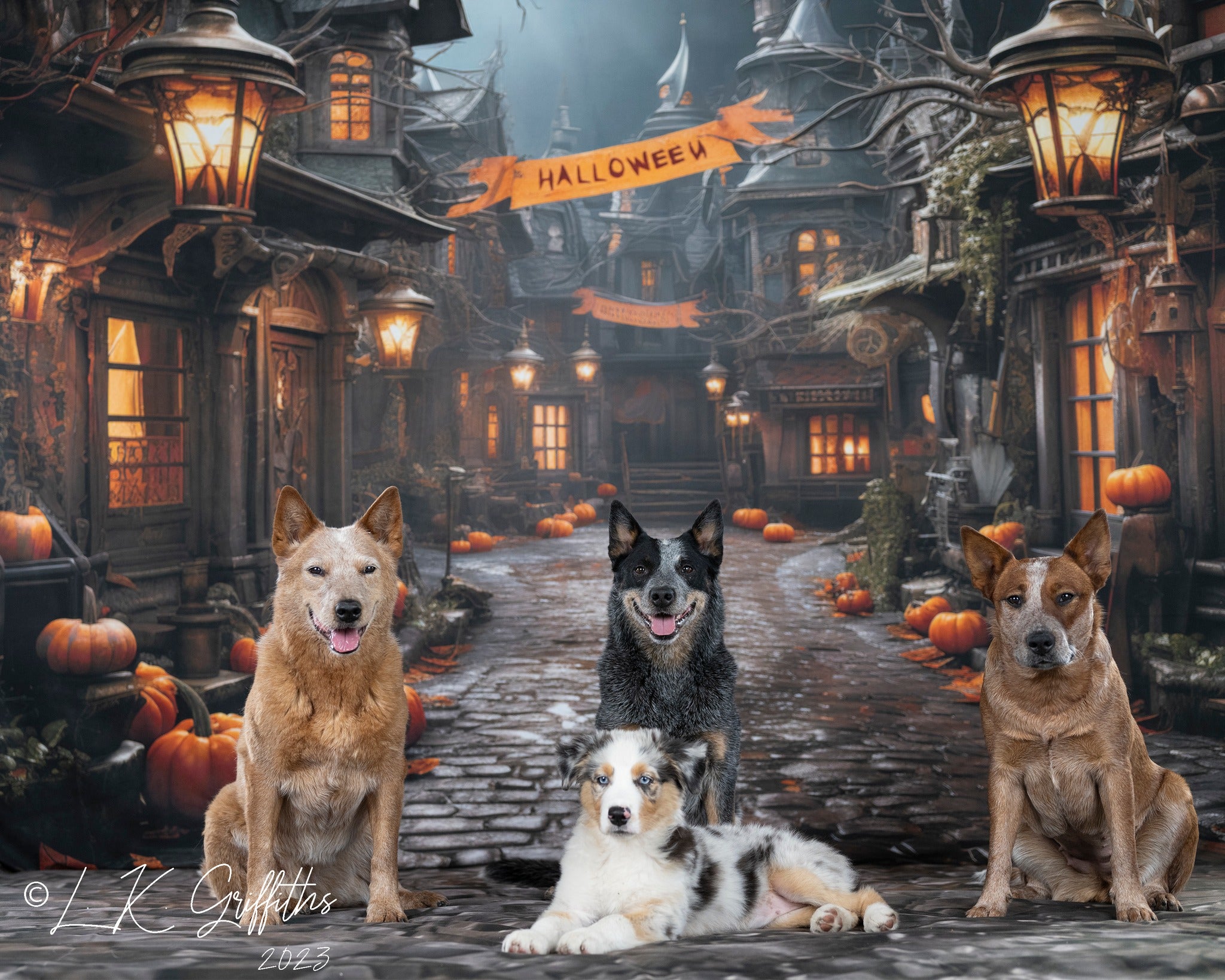 Kate Halloween Straße Kürbis Hintergrund von Emetselch - Kate Backdrop.de