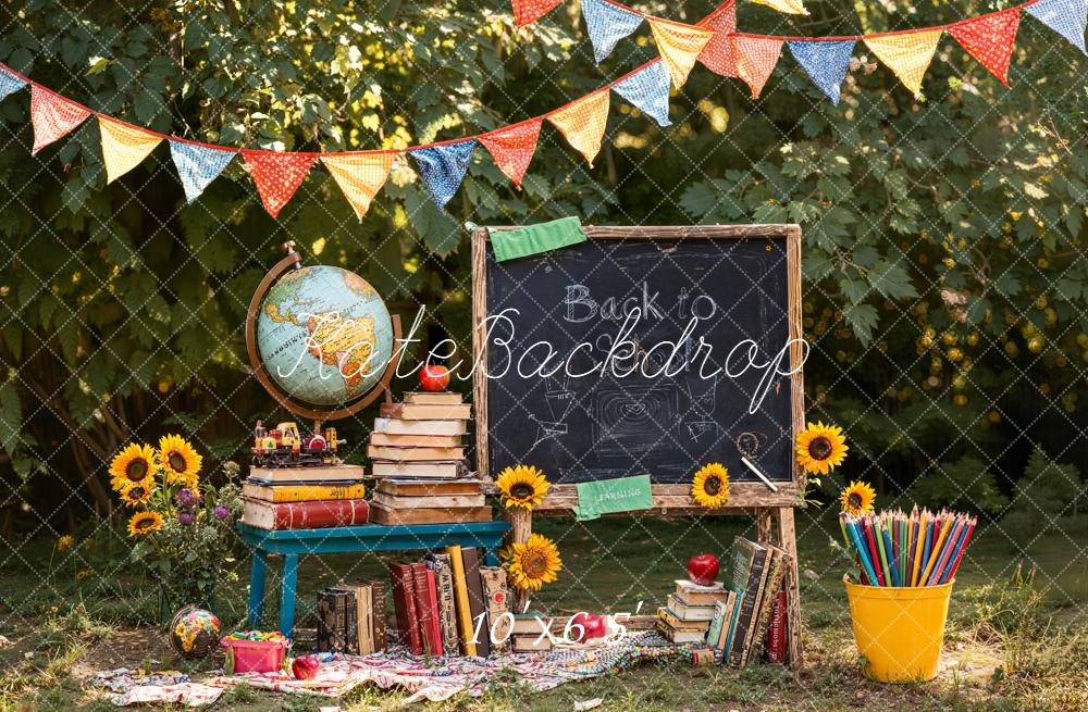 Kate Zurück Zur Schule Tafel Bücher Bunt Hintergrund Entworfen von Emetselch - Kate Backdrop.de