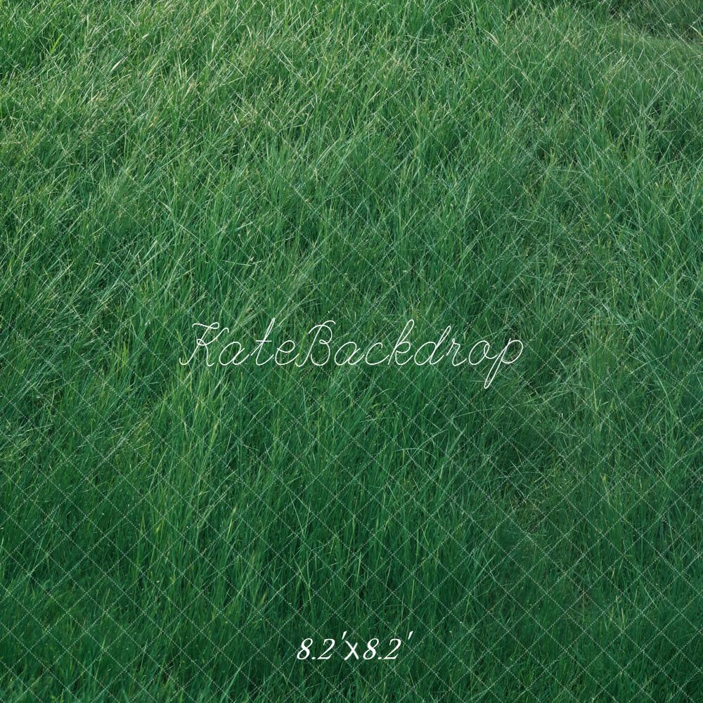 Kate Wiese Gras Grün Hintergrund Entworfen von Kate Image - Kate Backdrop.de