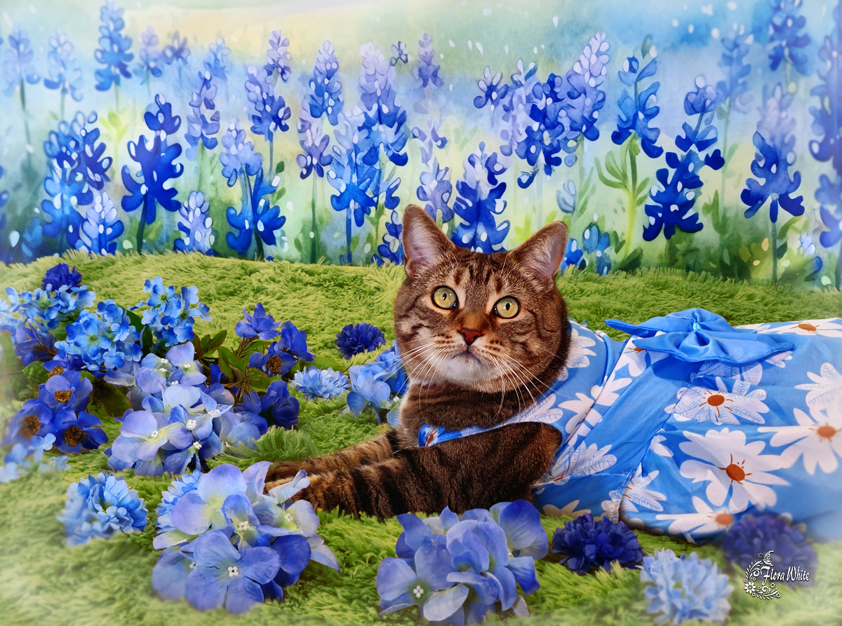 Kate Blühende Bluebonnets Floral Field Hintergrund von Patty Roberts - Kate Backdrop.de
