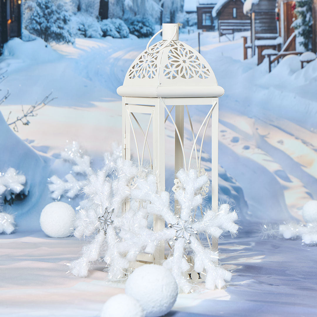 Kate Winter im Freien Schnee Szene Foto-Kit - Kate Backdrop.de
