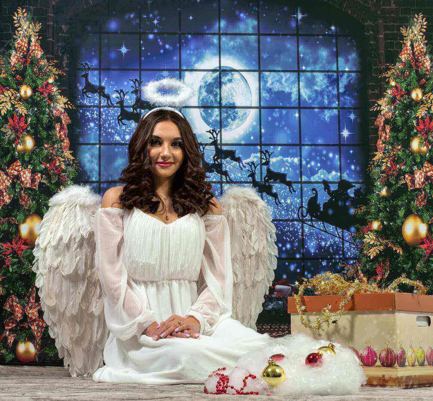Kate Weihnachten Fenster Schlitten Hintergrund Elch für die Fotografie - Kate Backdrop.de