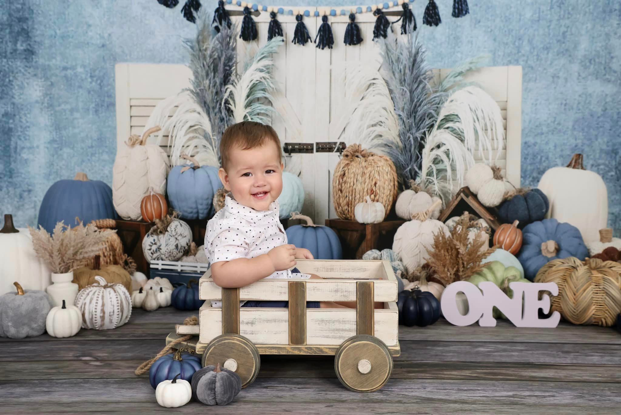 Kate Herbst Kürbis Blau Hintergrund von Ashley Paul - Kate Backdrop.de