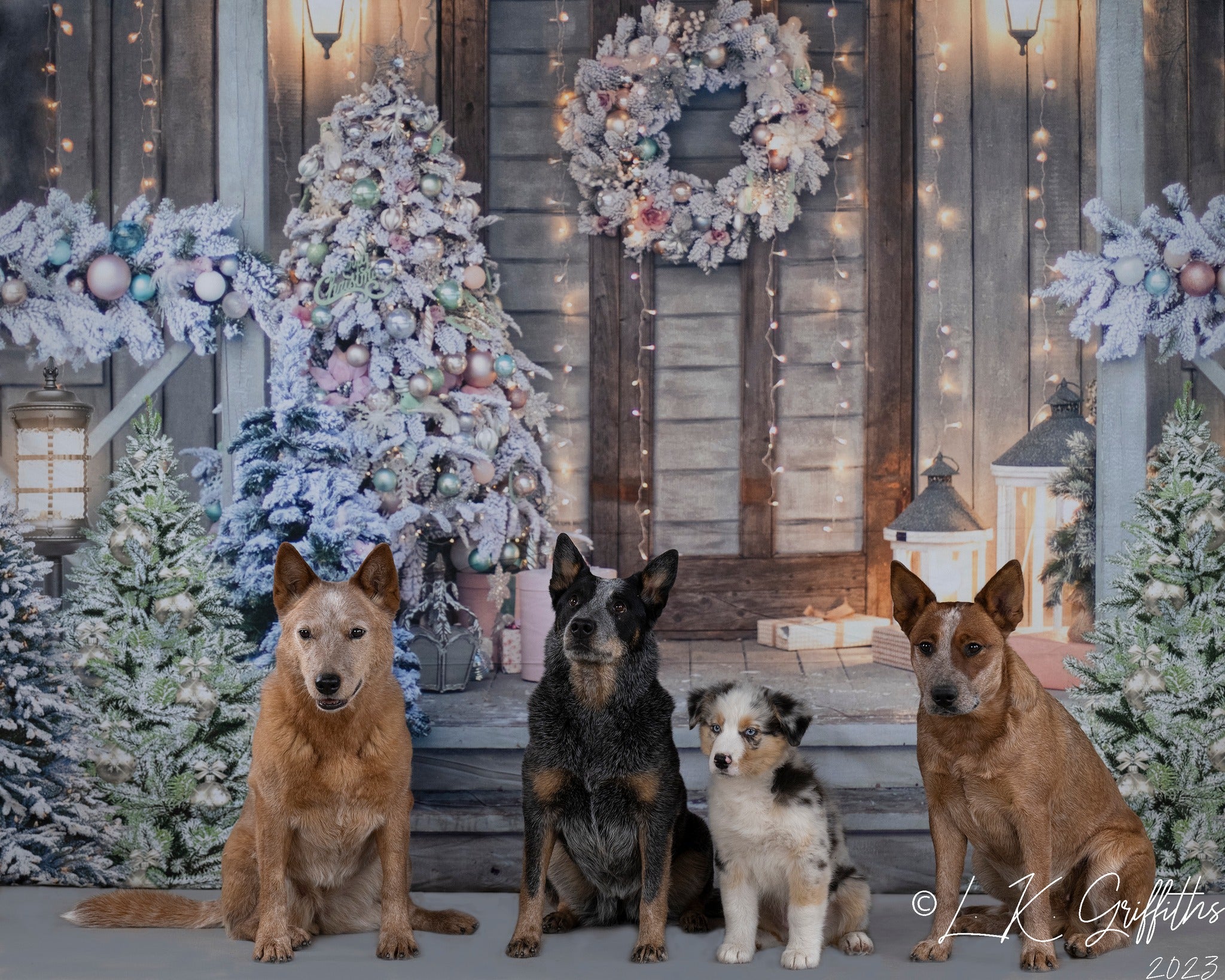 Kate Weihnachten Tür Hintergrund Weihnachtsbaum von Chain Photography - Kate Backdrop.de
