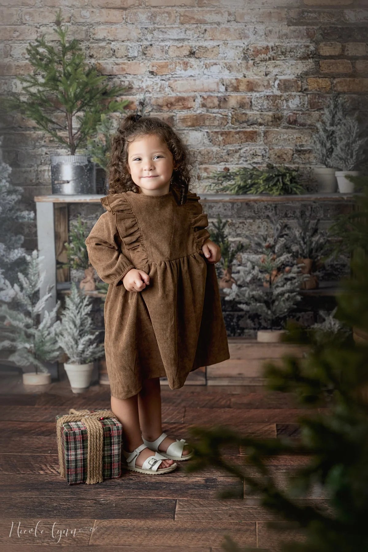 Kate Einfacher Hintergrund für einen Weihnachten ständer von Mandy Ringe Photography - Kate Backdrop.de