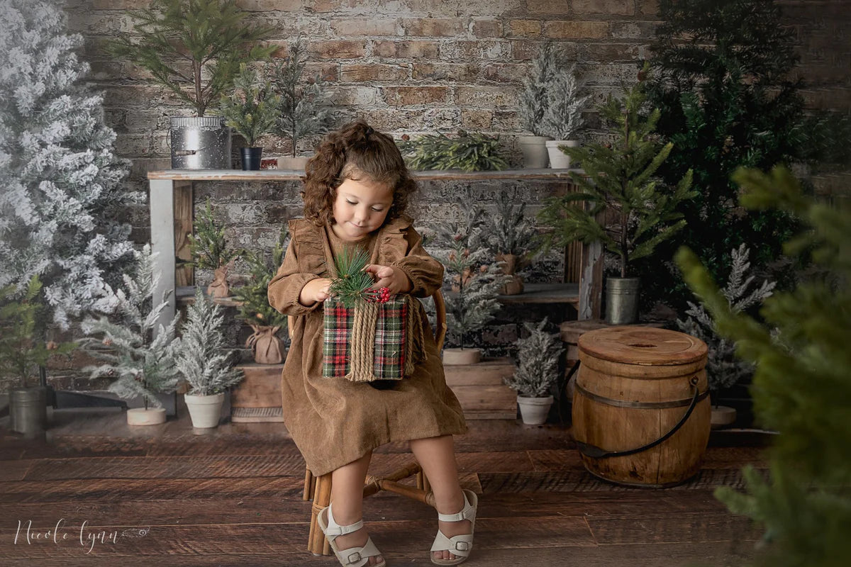 Kate Einfacher Hintergrund für einen Weihnachten ständer von Mandy Ringe Photography - Kate Backdrop.de