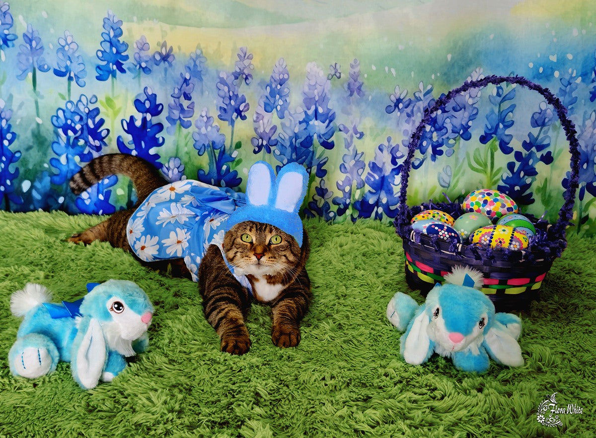 Kate Blühende Bluebonnets Floral Field Hintergrund von Patty Roberts - Kate Backdrop.de