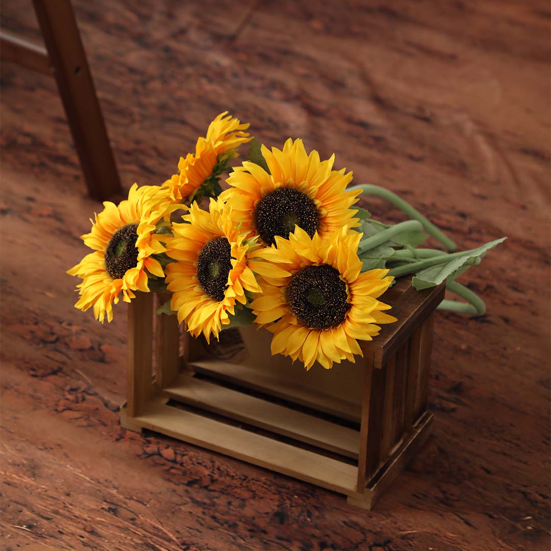 Kate Sommer-Sonnenblumen-Fotokit - Kate Backdrop.de