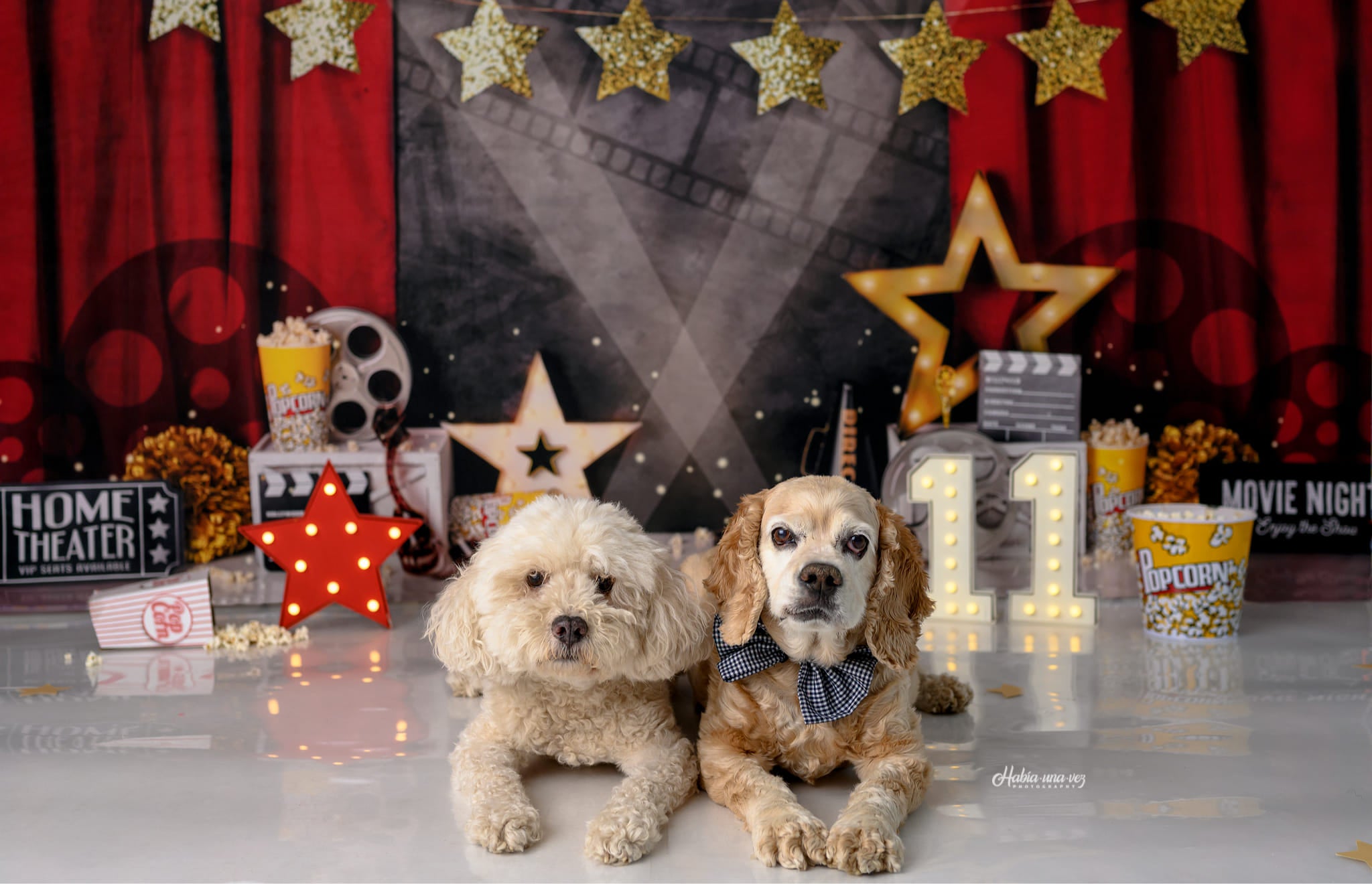 Kate Film Nacht Hintergrund roter Vorhang Geburtstag von Mandy Ringe Photography - Kate Backdrop.de