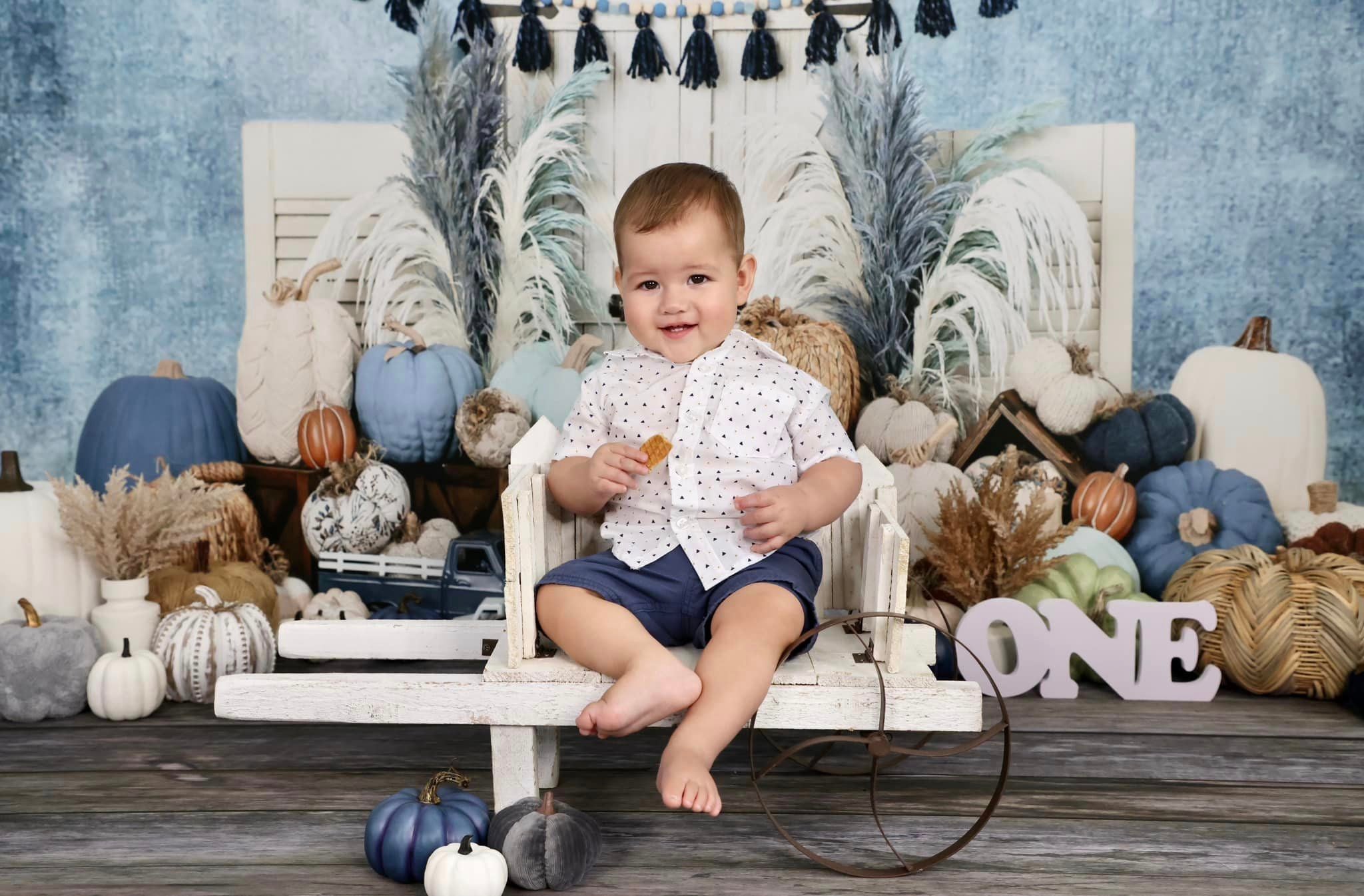 Kate Herbst Kürbis Blau Hintergrund von Ashley Paul - Kate Backdrop.de