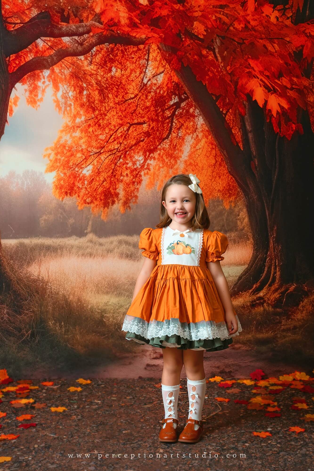 Kate Herbst Baum Hintergrund für Fotografie - Kate Backdrop.de