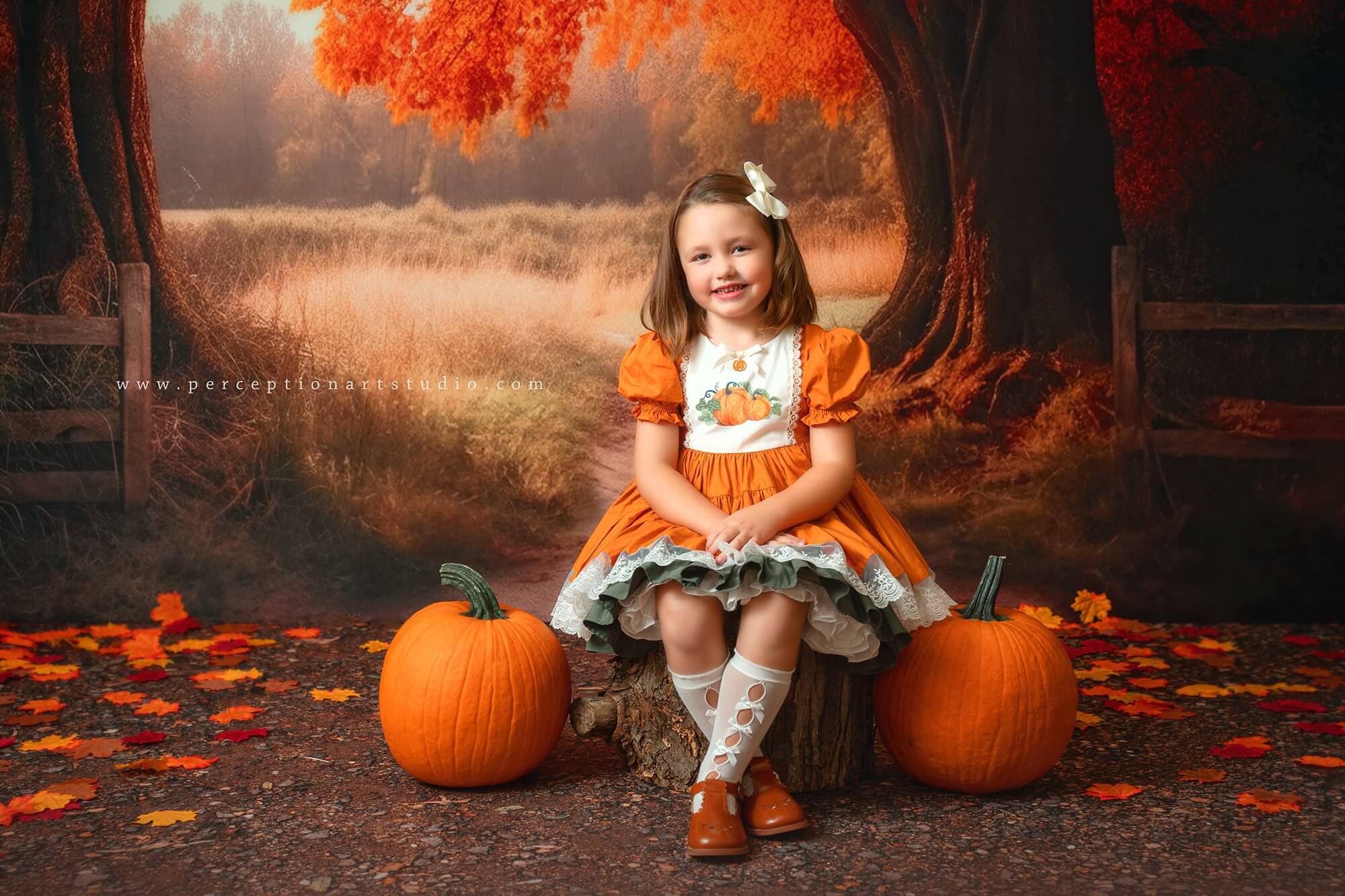 Kate Herbst/Herbst Wald Baum Hintergrund+ Land Boden Hintergrund - Kate Backdrop.de