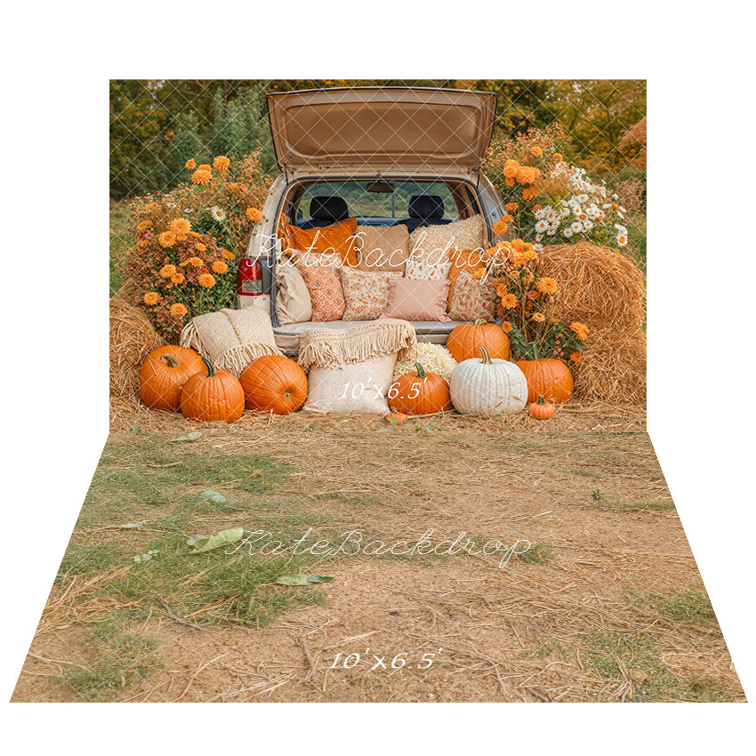 Kate Herbst Kürbis Stroh Blumen Hintergrund Hintergrund+Boden Trockene Erde Gras Hintergrund Boden Hintergrund