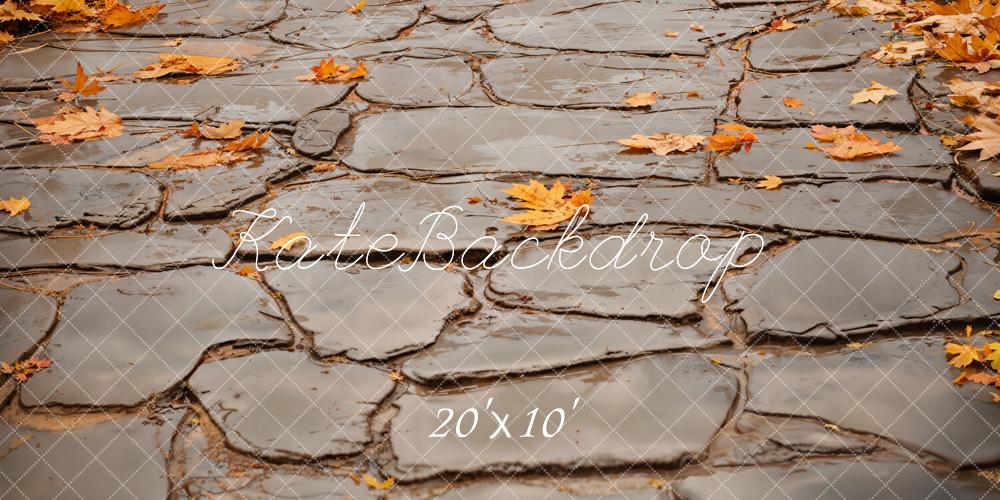 Kate Herbst Kopfsteinpflaster Blätter Braun Hintergrund Entworfen von Kate Image