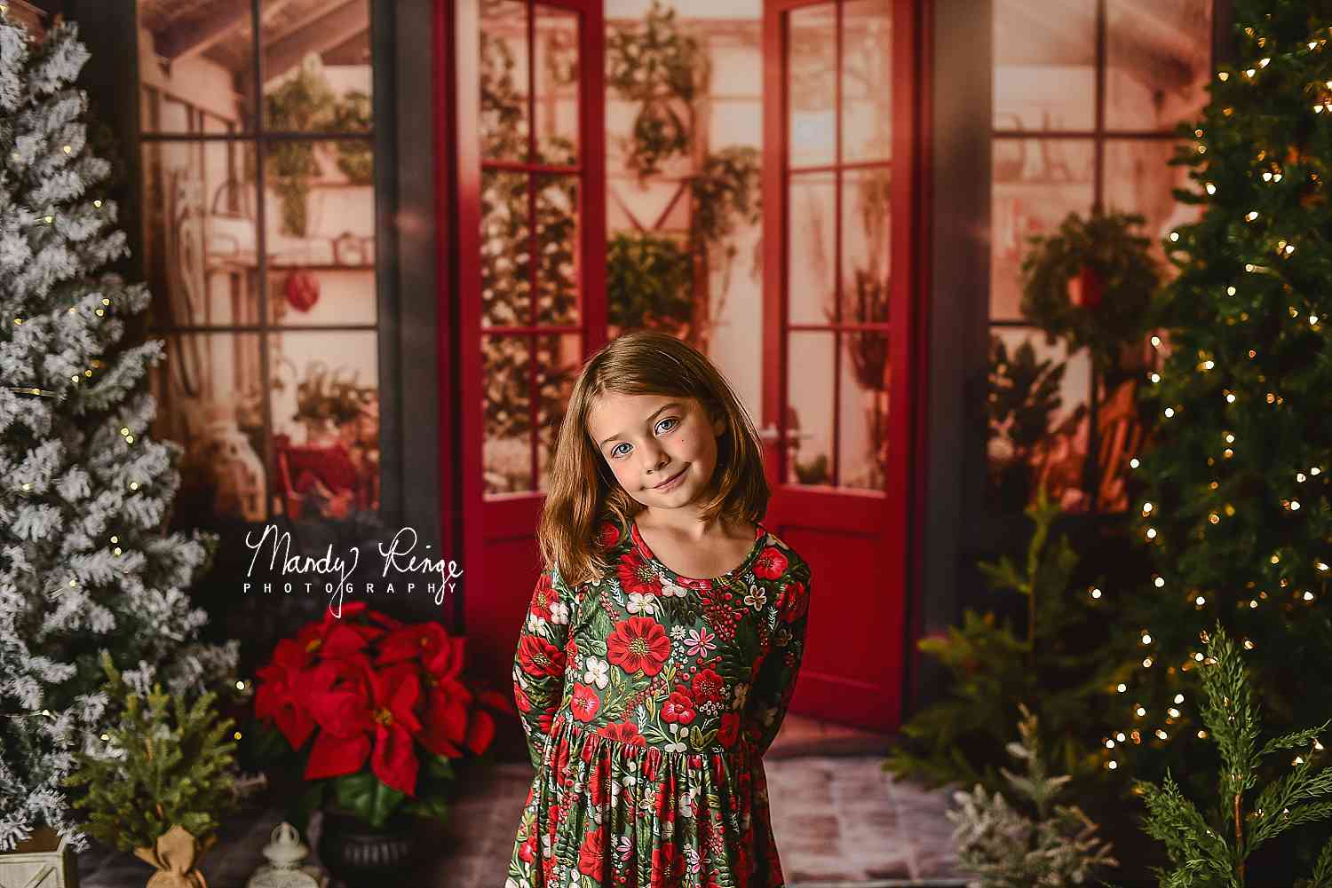 Kate Weihnachten Urlaub Gewächshaus Rot Hintergrund von Mandy Ringe Fotograf - Kate Backdrop.de