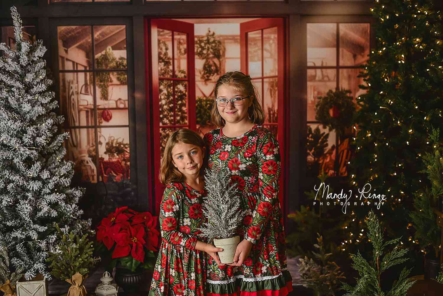 Kate Weihnachten Urlaub Gewächshaus Rot Hintergrund von Mandy Ringe Fotograf