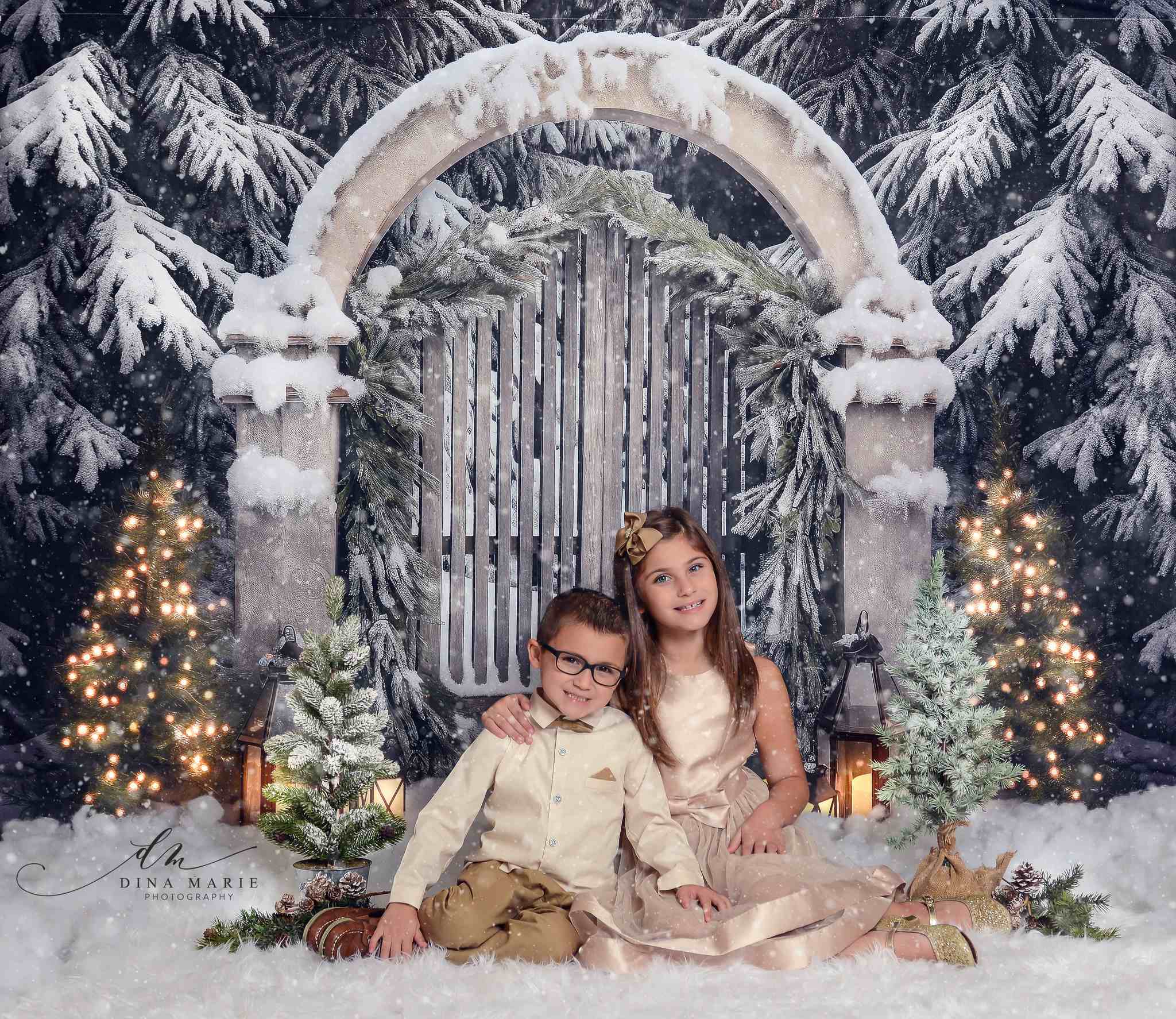 Kate Weihnachten im Freien verschneites Tor Baum Licht Hintergrund von Chain Photography
