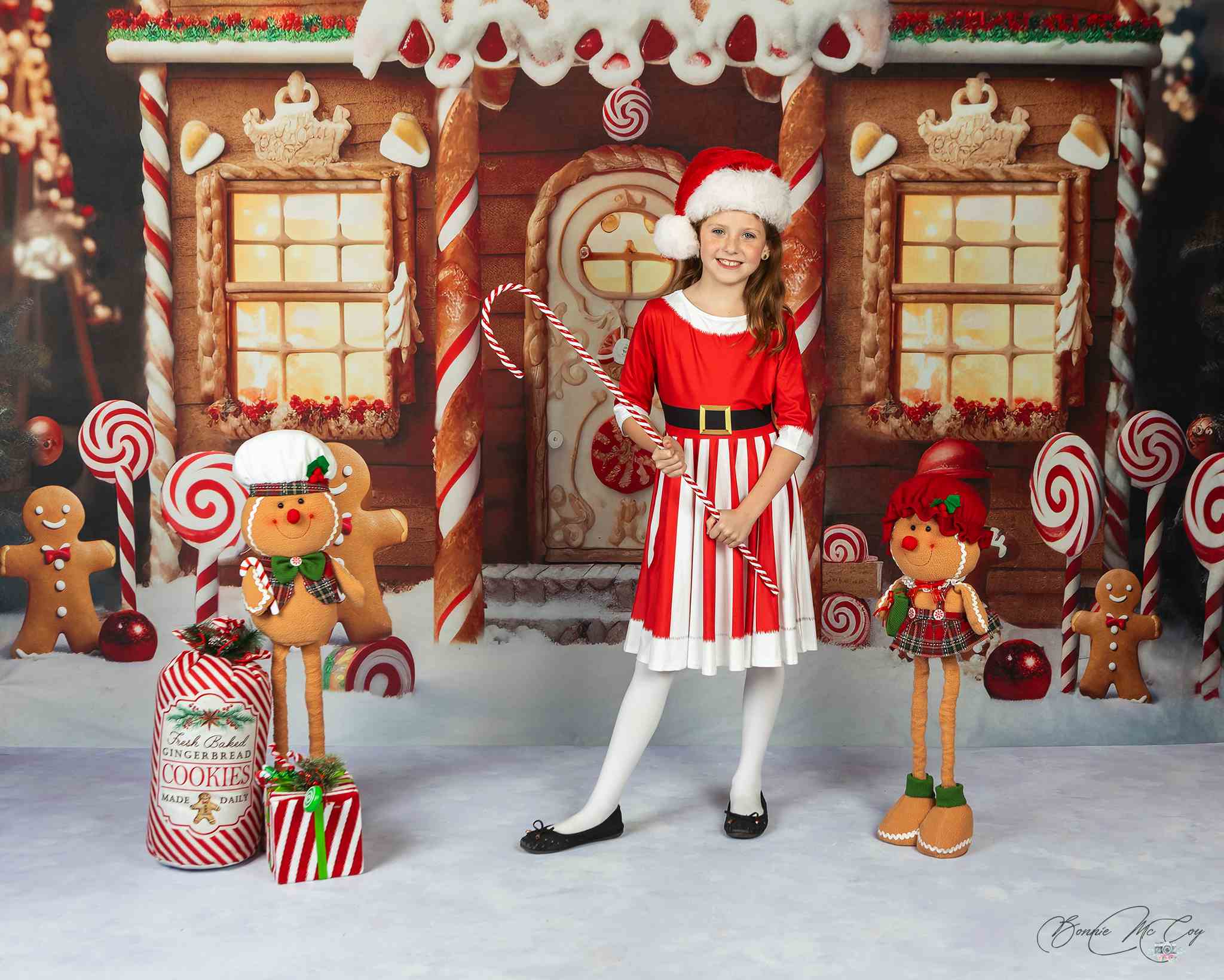 Kate Weihnachten Winter Lebkuchenhaus Schnee Hintergrund von Chain Photography - Kate Backdrop.de