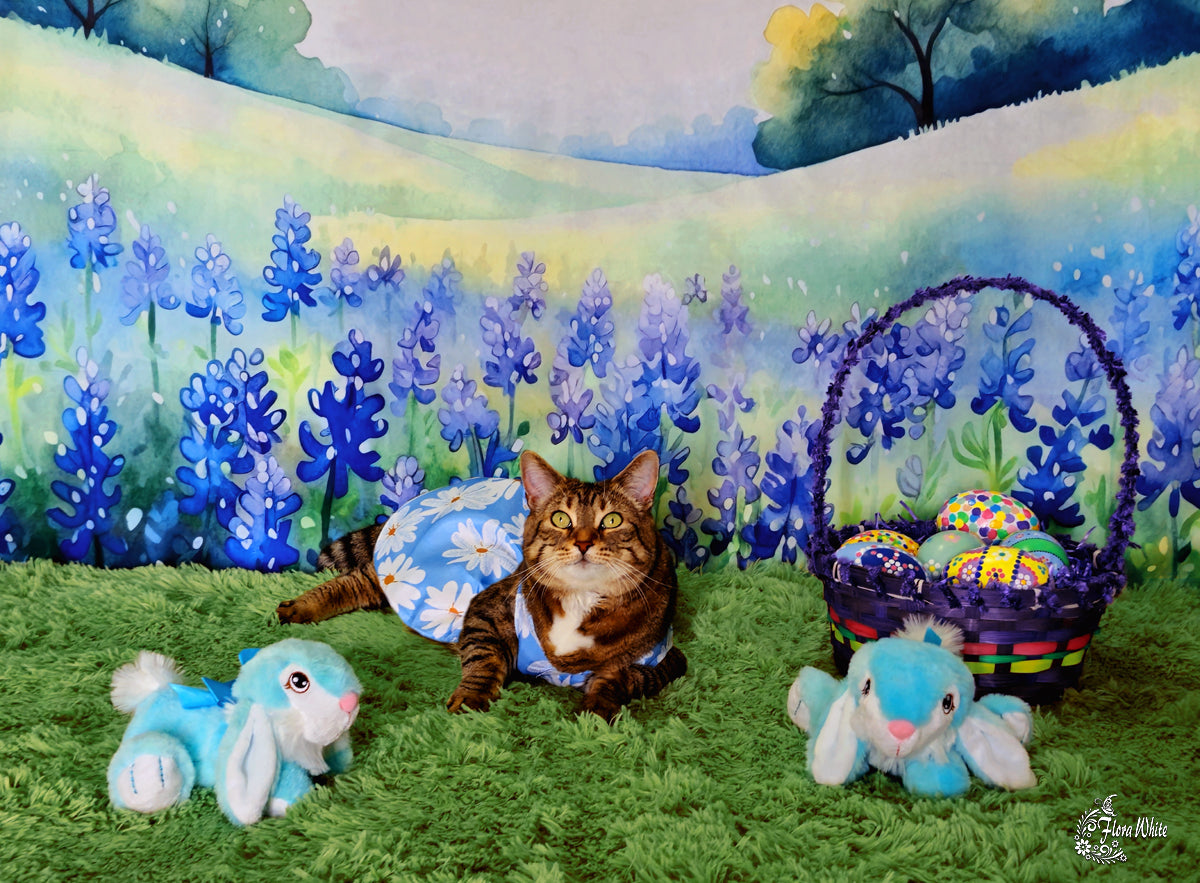 Kate Blühende Bluebonnets Floral Field Hintergrund von Patty Roberts - Kate Backdrop.de