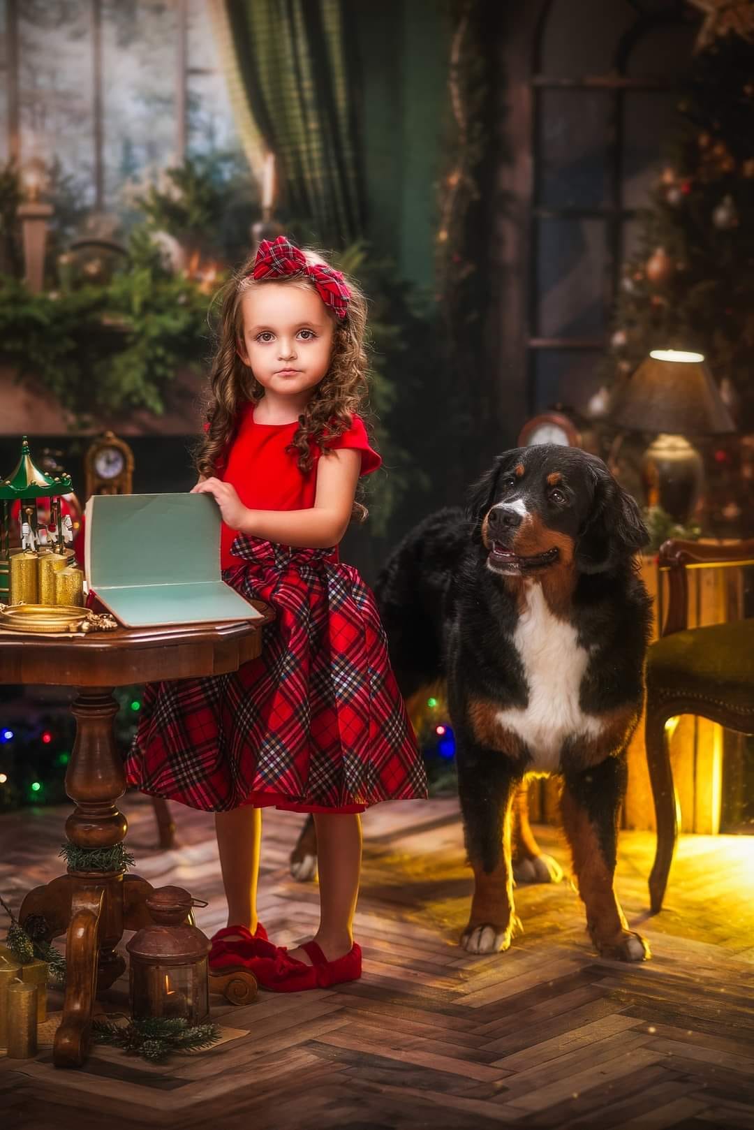 Kate Weihnachtskamin Fenster Grünes Zimmer Set (8ftx8ft&10ftx8ft&8ftx10ft) - Kate Backdrop.de