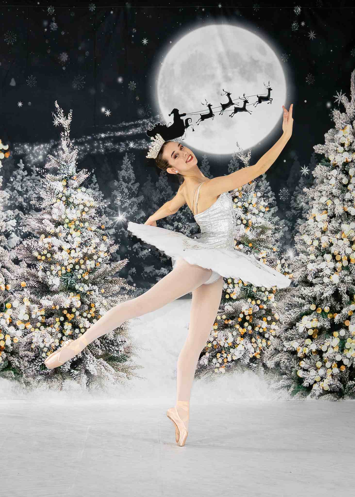 Kate Weihnachten Nacht Hintergrund Wald Mond für Fotografie - Kate Backdrop.de