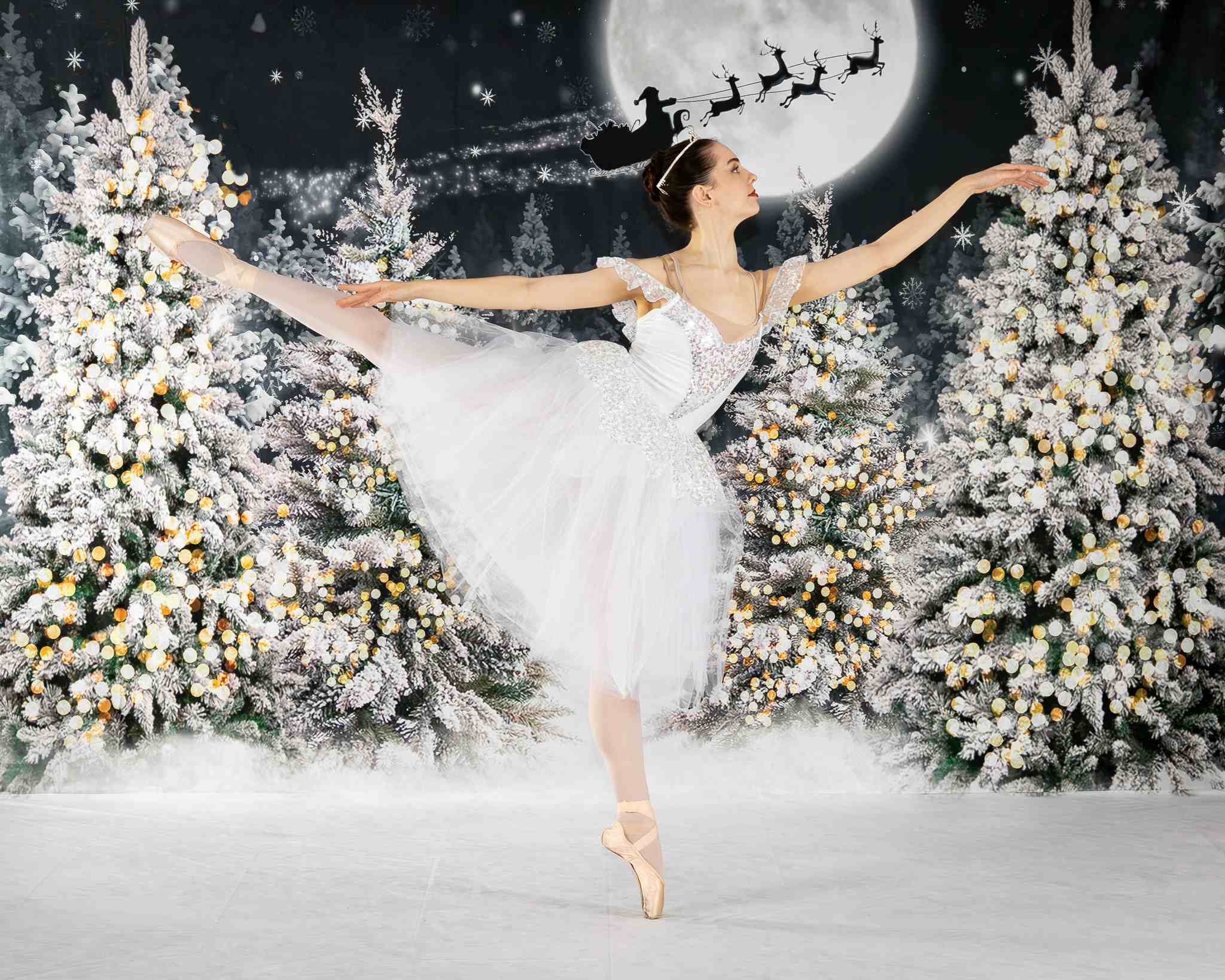 Kate Weihnachten Nacht Hintergrund Wald Mond für Fotografie - Kate Backdrop.de