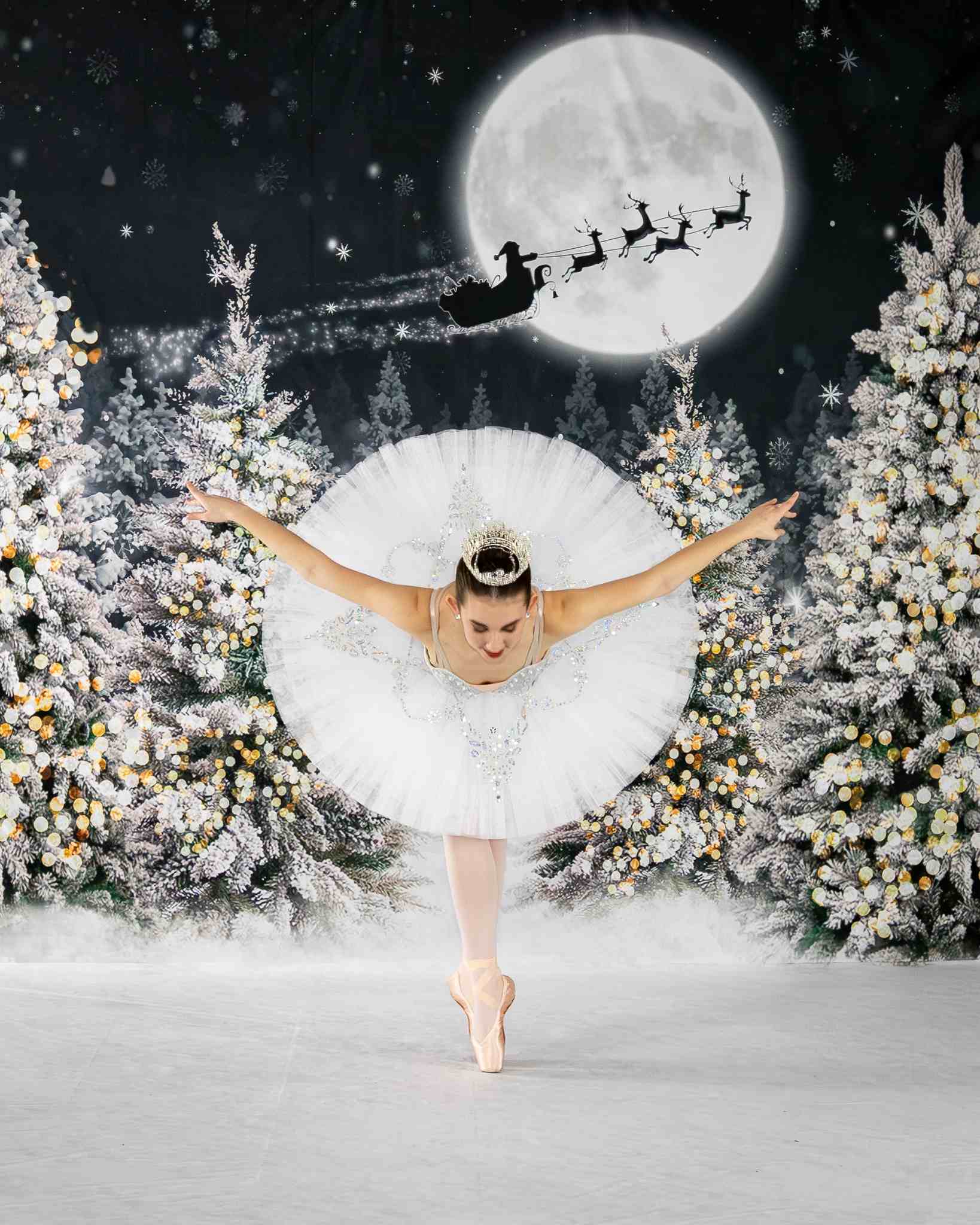 Kate Weihnachten Nacht Hintergrund Wald Mond für Fotografie - Kate Backdrop.de