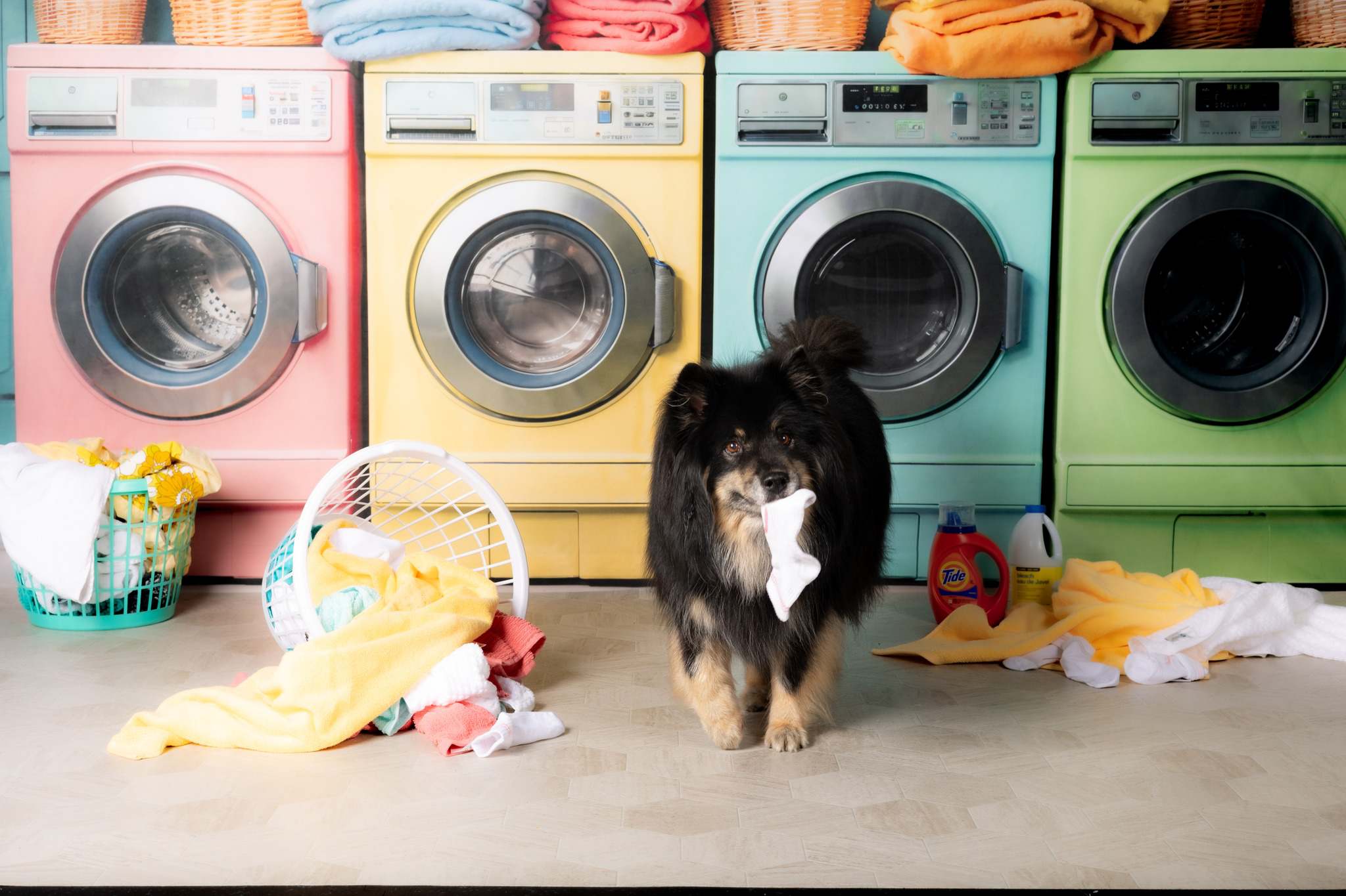 Kate Laundry Day Bunte Waschmaschine Hintergrund von Chain Photography - Kate Backdrop.de