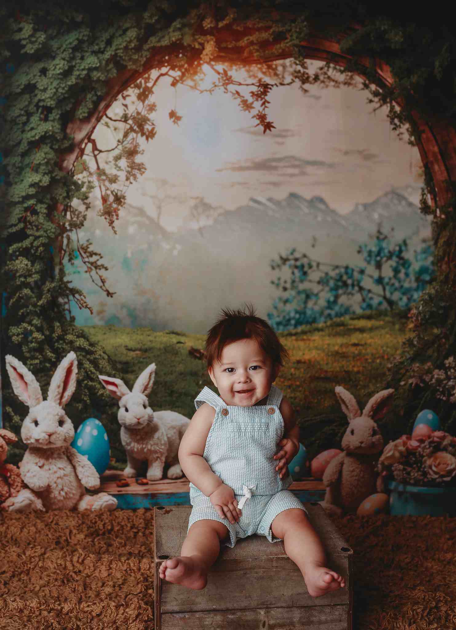 Kate Osterhase Fensteransicht Hintergrund für Fotografie - Kate Backdrop.de