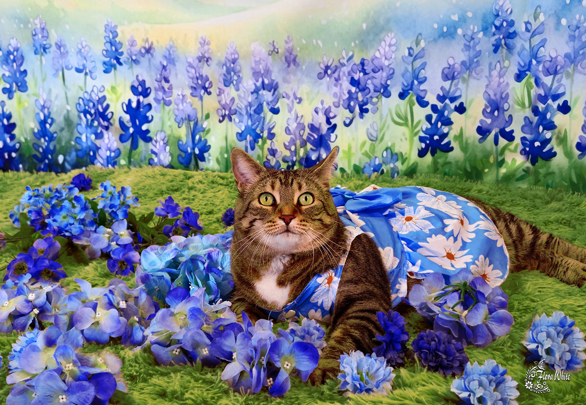 Kate Blühende Bluebonnets Floral Field Hintergrund von Patty Roberts - Kate Backdrop.de