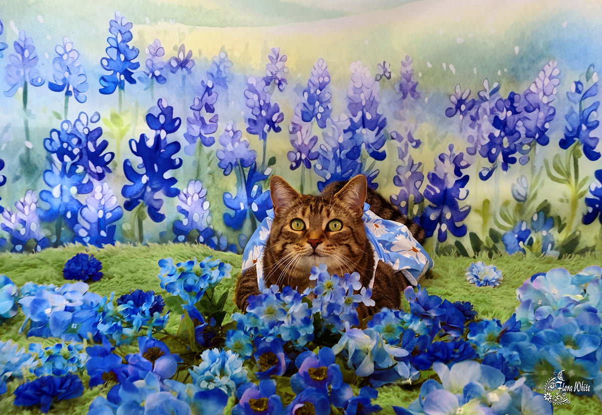 Kate Blühende Bluebonnets Floral Field Hintergrund von Patty Roberts - Kate Backdrop.de