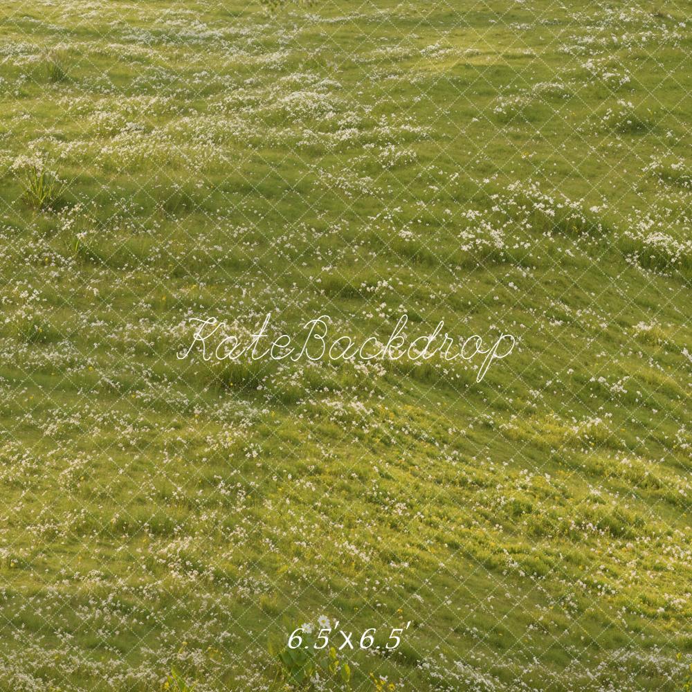 Kate Wiese Kleine Blumen Grün Hintergrund Entworfen von Kate Image