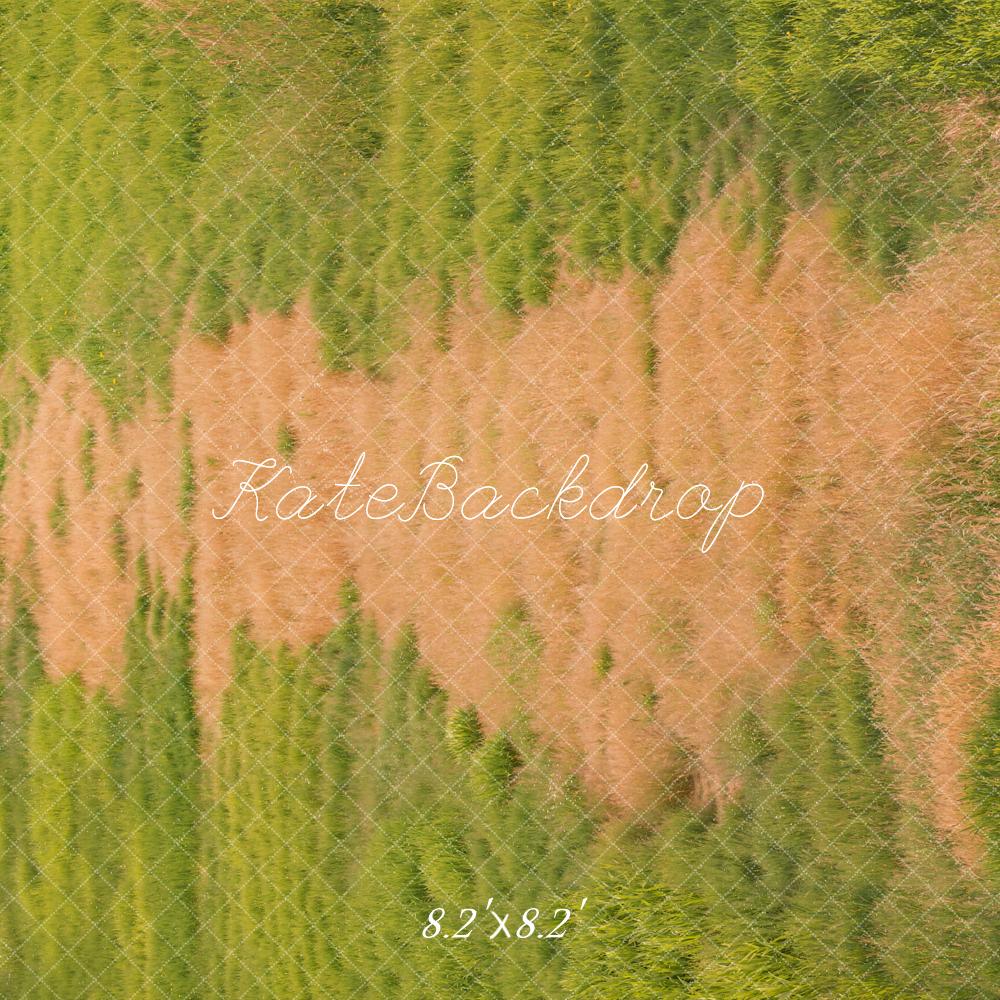 Kate Wiese Gras Textur Hintergrund Entworfen von Kate Image