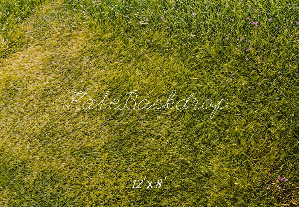 Kate Wiese Blumen Grün Fleece Hintergrund Entworfen von Kate Image - Kate Backdrop.de