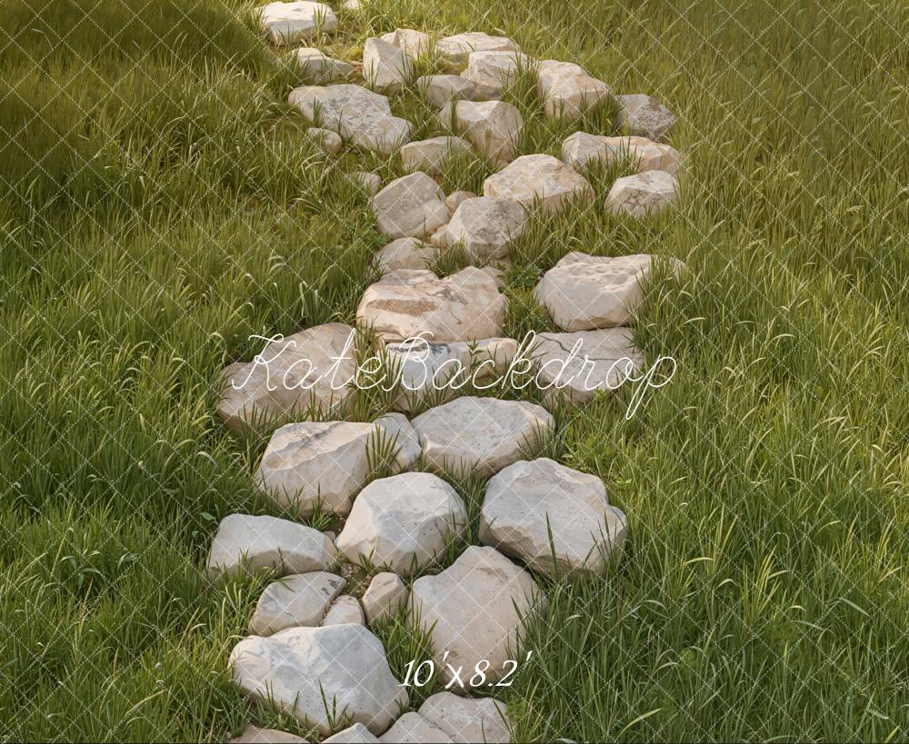 Kate Garten Steinweg Wiese Grün Hintergrund Entworfen von Kate Image - Kate Backdrop.de