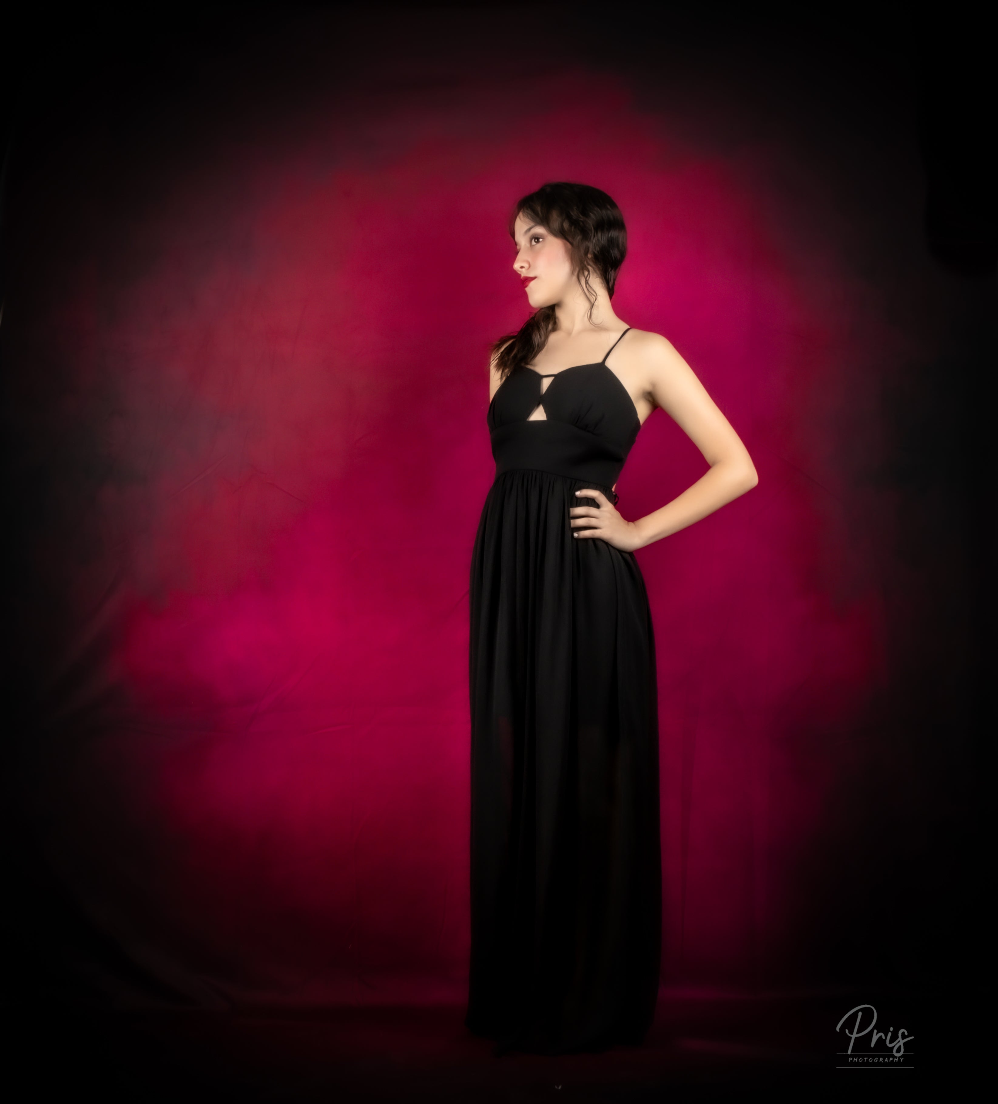 Kate Abstrakter dunkler Rosen-roter Hintergrund für Fotografie - Kate Backdrop.de