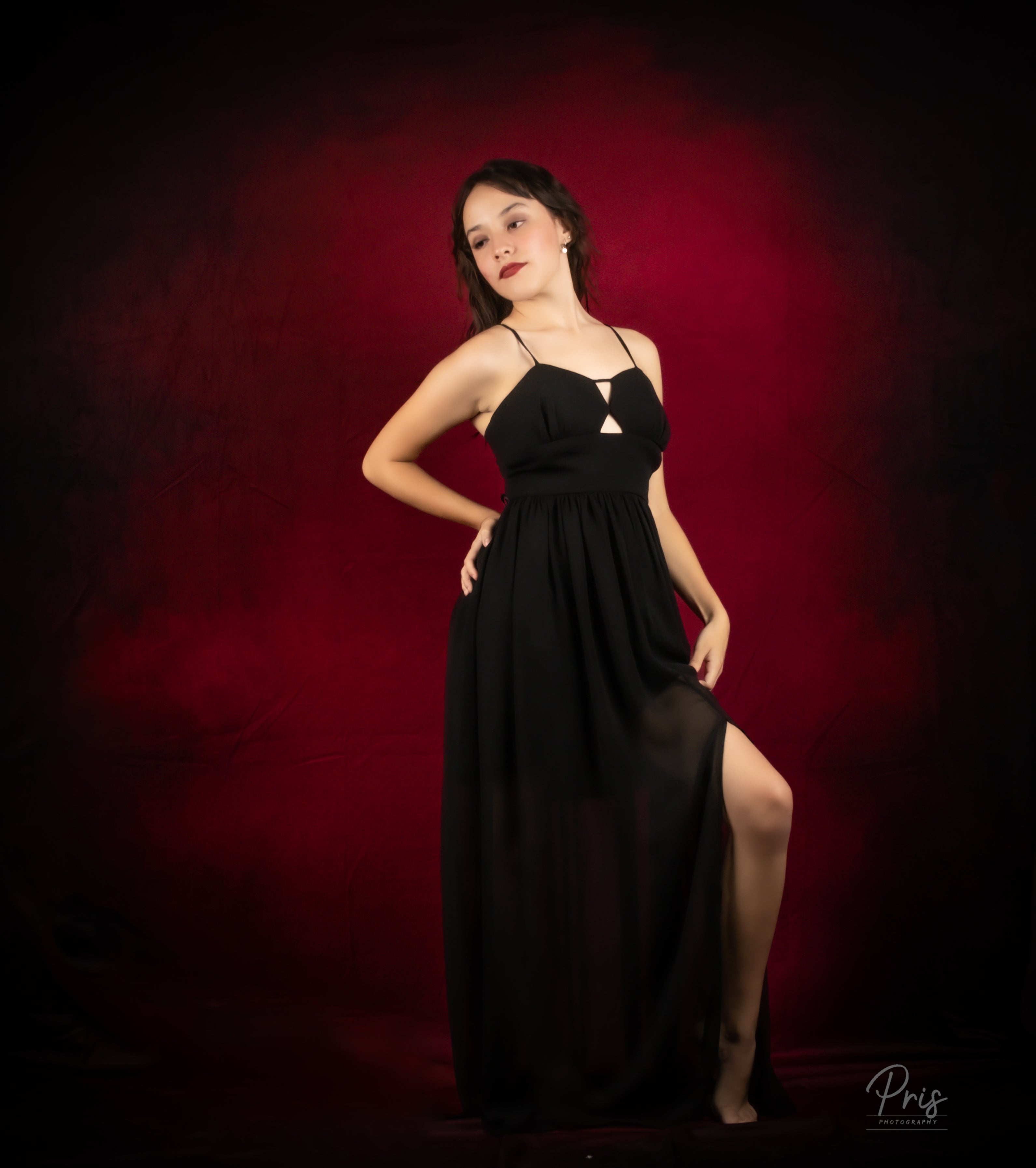 Kate Abstrakter dunkler Rosen-roter Hintergrund für Fotografie - Kate Backdrop.de