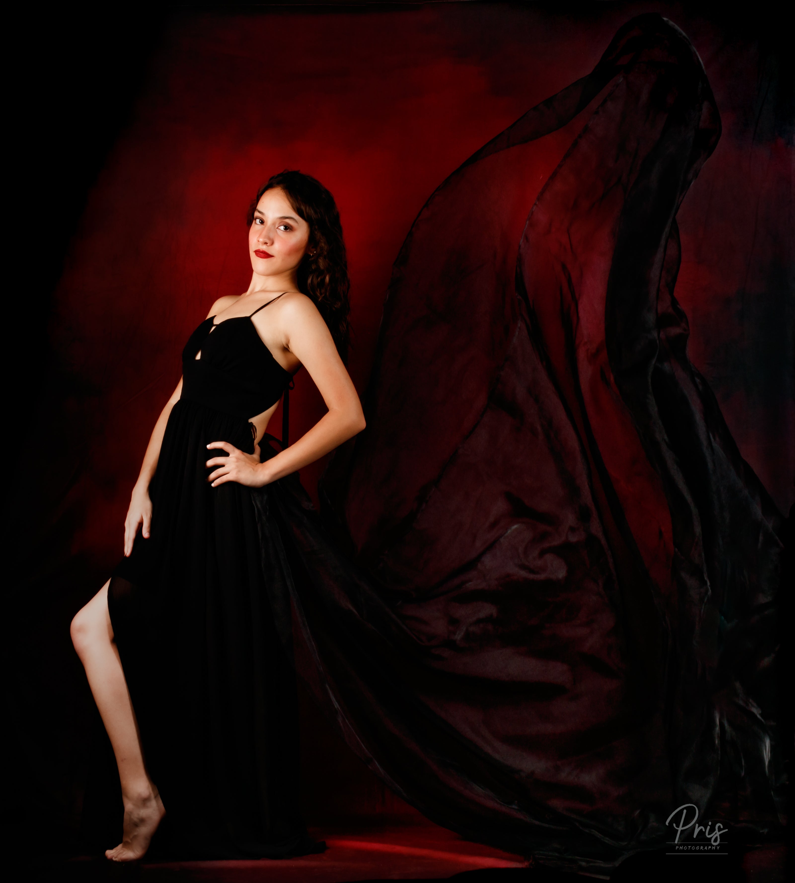 Kate Abstrakter dunkler Rosen-roter Hintergrund für Fotografie - Kate Backdrop.de