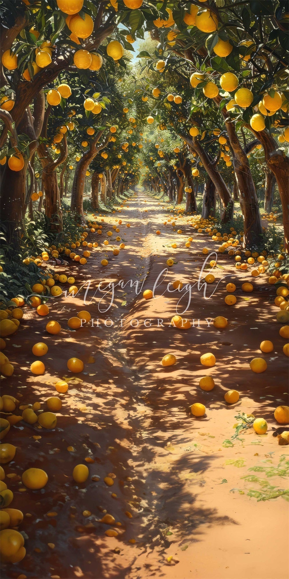 Kate Sweep Sommer Outdoor Gelber Zitronenhain Hintergrund Entworfen von Megan Leigh Photography - Kate Backdrop.de