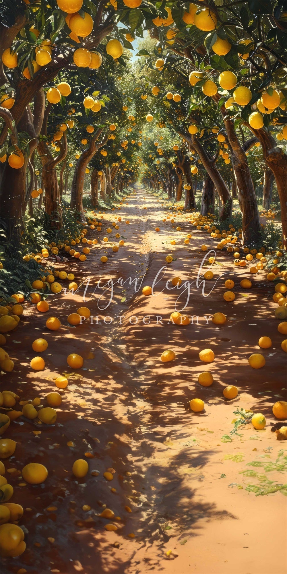 Kate Sweep Sommer Outdoor Gelber Zitronenhain Hintergrund Entworfen von Megan Leigh Photography - Kate Backdrop.de