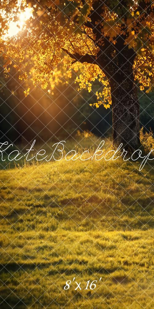 Kate Herbst Goldener Baum Kombi-Hintergrund Entworfen von Emetselch - Kate Backdrop.de