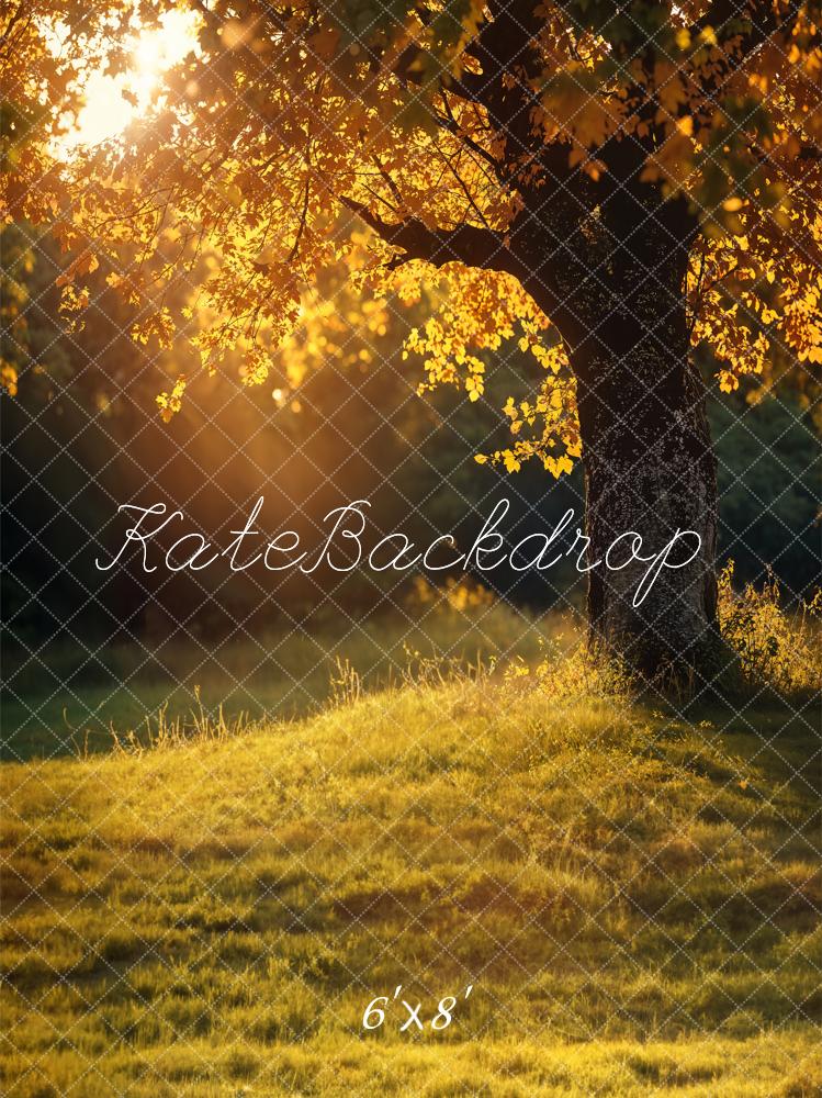 Kate Herbst Goldener Baum Kombi-Hintergrund Entworfen von Emetselch - Kate Backdrop.de