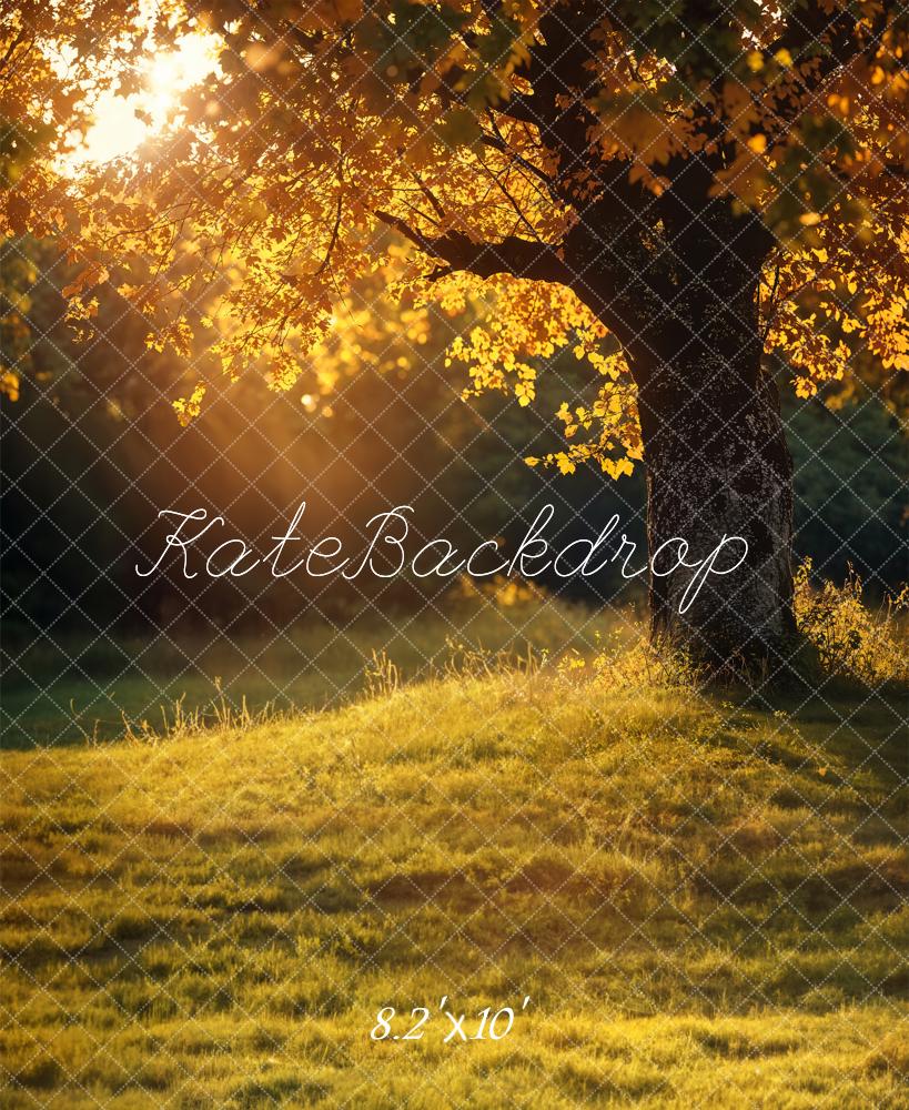 Kate Herbst Goldener Baum Kombi-Hintergrund Entworfen von Emetselch - Kate Backdrop.de