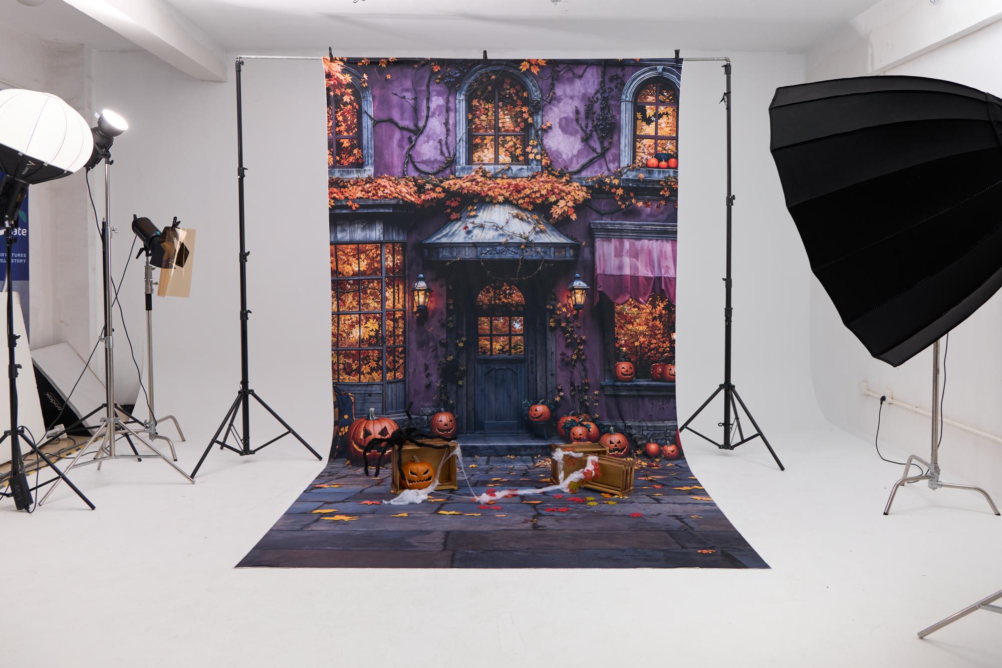 ⚡Blitzangebote-Kate Halloween Cottage Kürbis Gefallene Blätter Kombi-Hintergrund Entworfen von Emetselch - Kate Backdrop.de