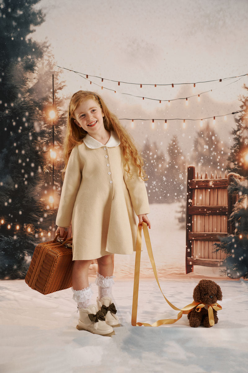 ⚡Blitzangebote-Kate Winter Lichterkette Holztor Schnee Hintergrund Entworfen von Emetselch - Kate Backdrop.de