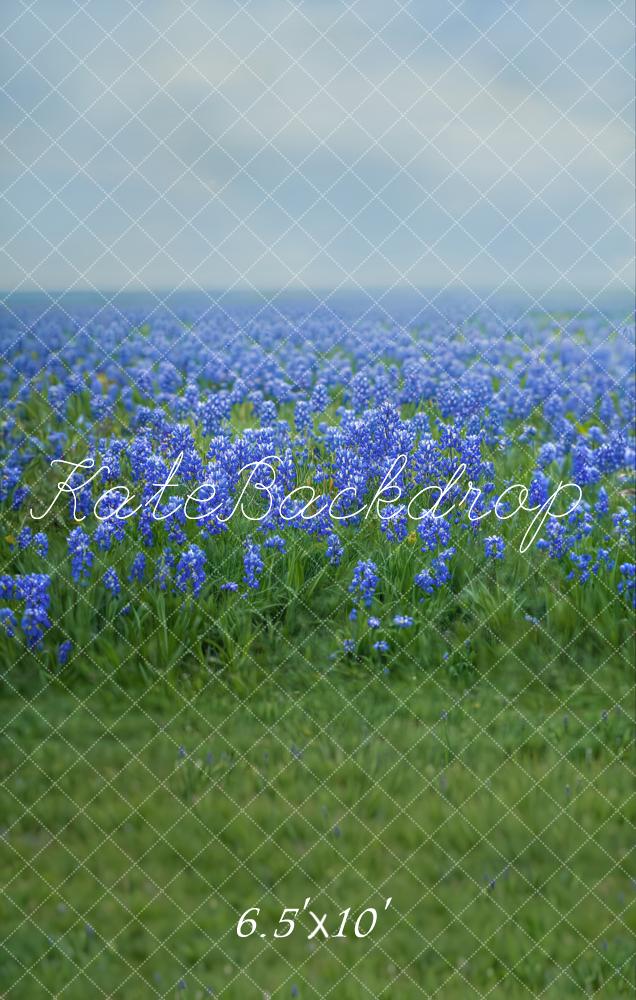 Kate Frühling Floral Bluebonnet Wiese Fleece Hintergrund - Kate Backdrop.de