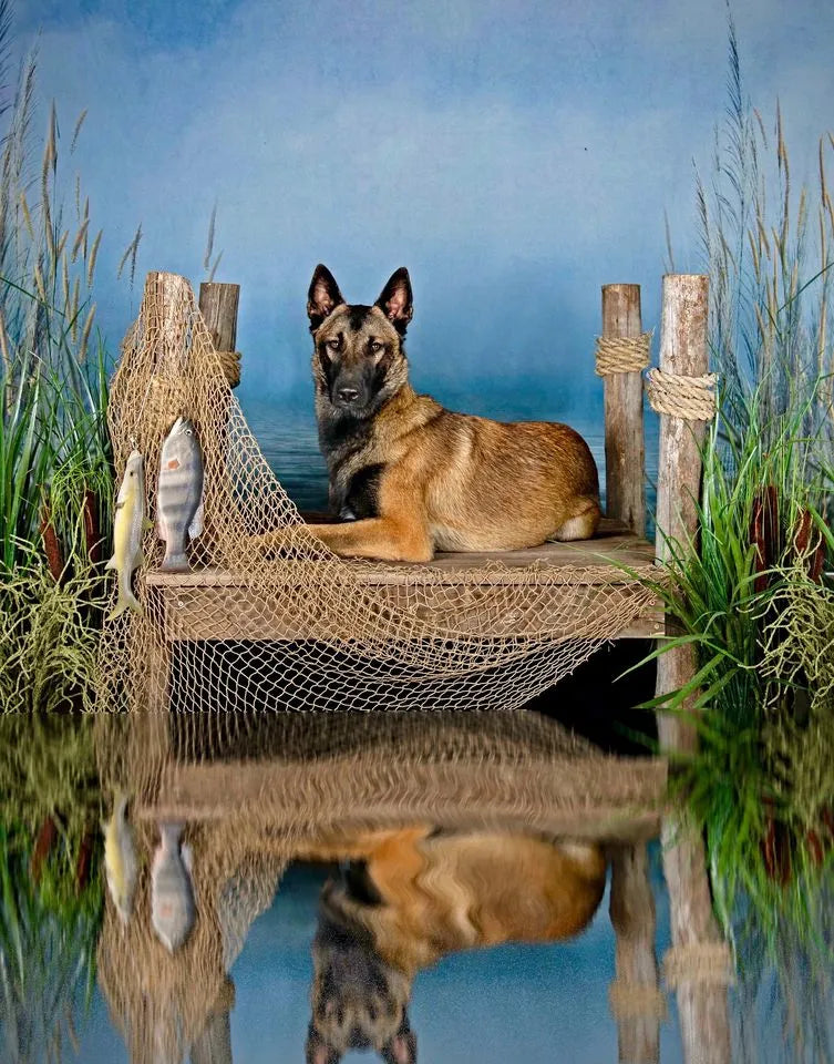 Kate Sommer Hintergrund Schilf Bewölkter Himmel See für Fotografie - Kate Backdrop.de