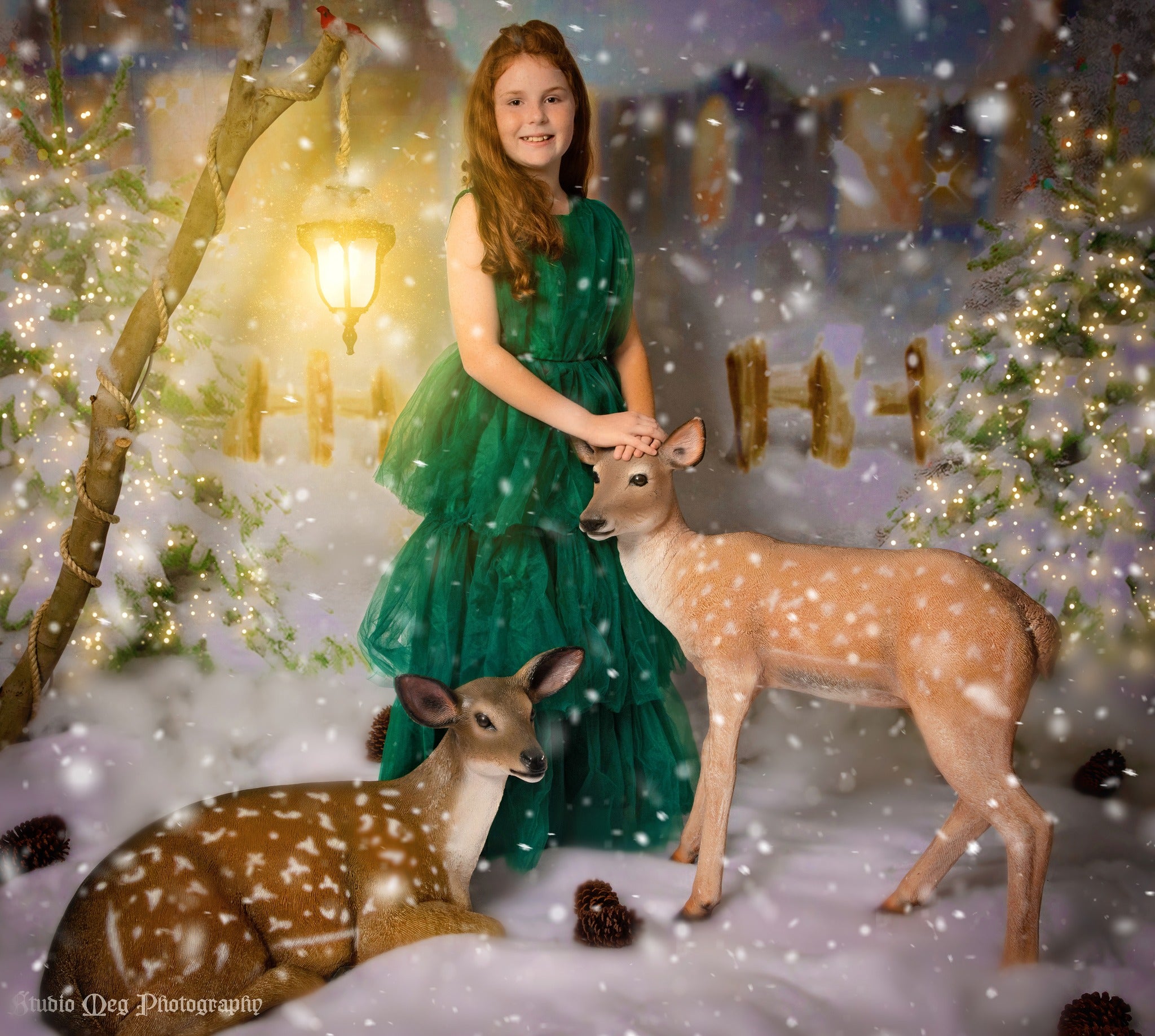 Kate Weihnachten Hintergrund Schnee Haus Baum für Fotografie - Kate Backdrop.de